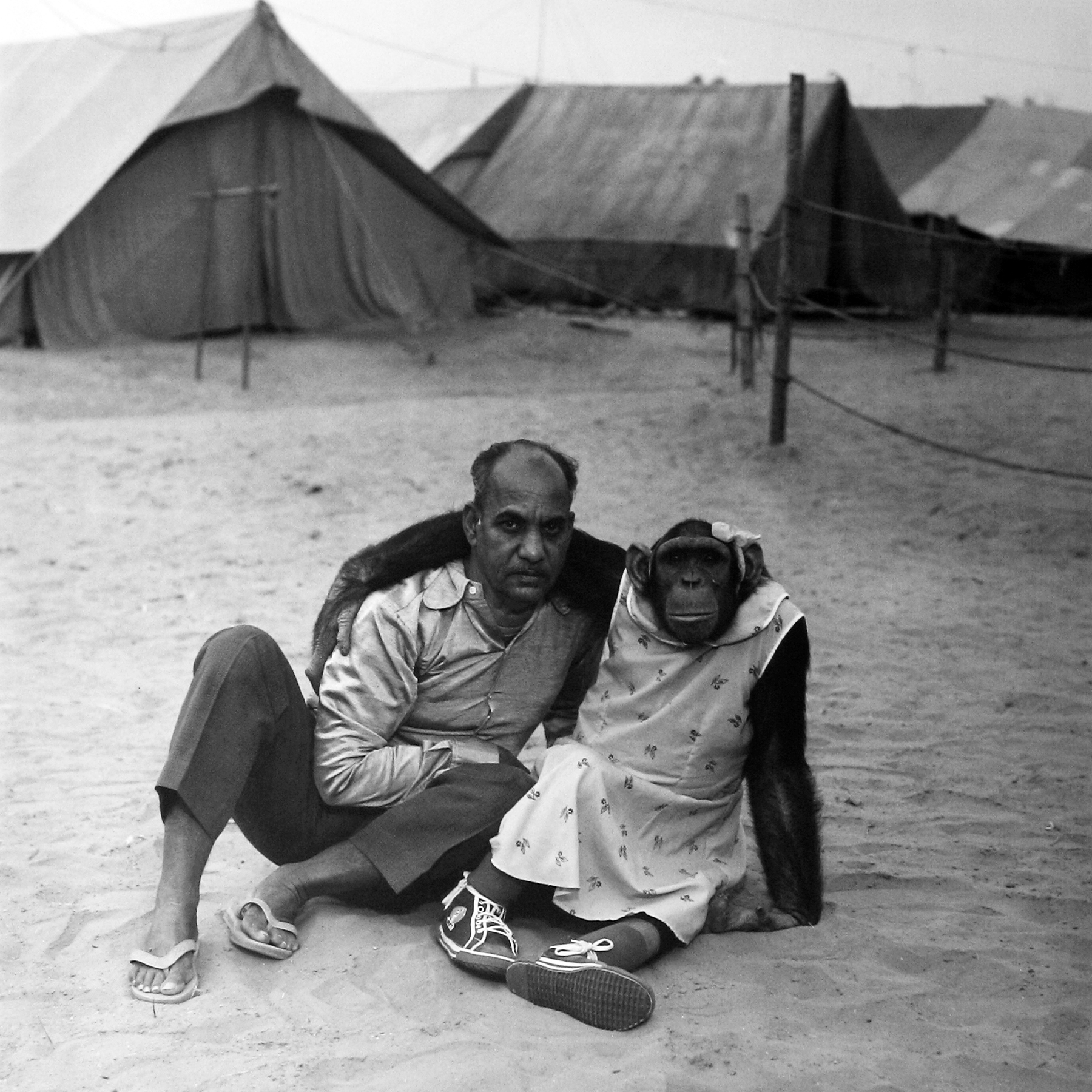 Mary Ellen Mark: Indian Circus 2009 howard greenberg gallery