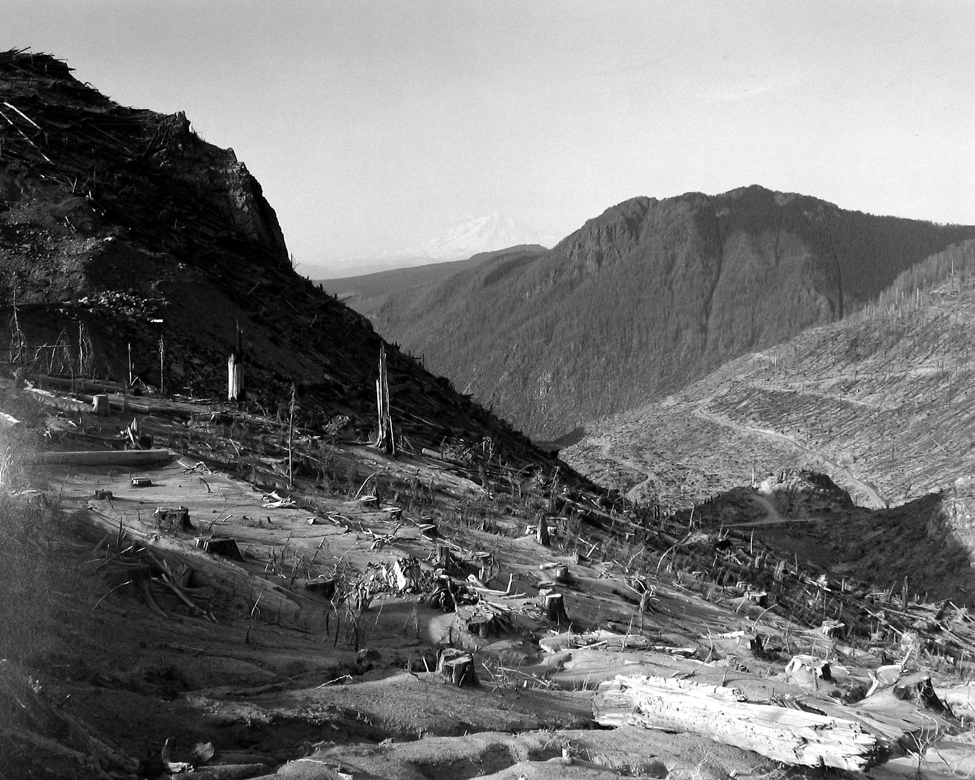 Frank Gohlke: Mount St. Helens 2005 howard greenberg gallery