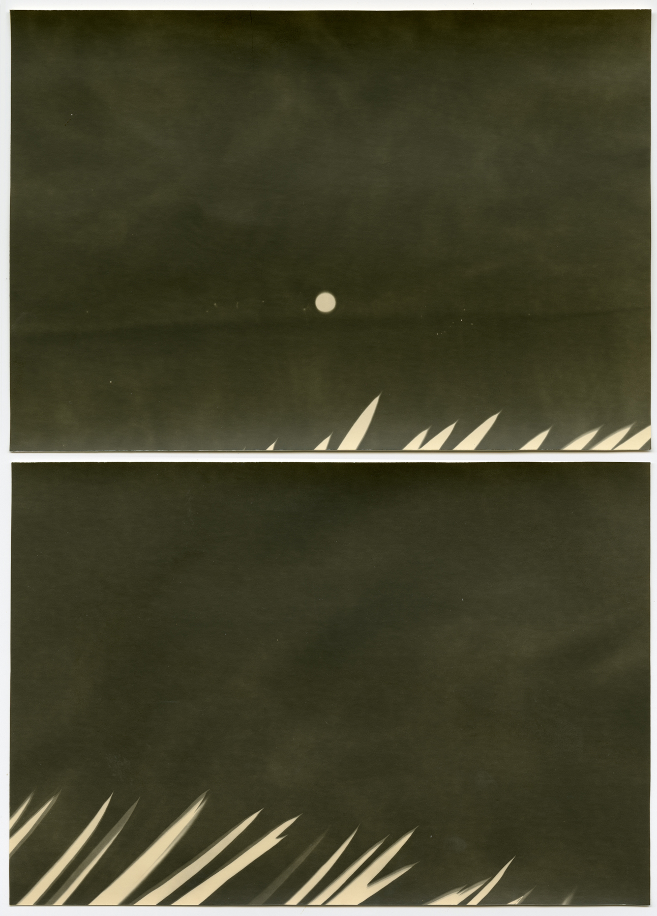 Bruno Roels, Under the Brown Fog of a Winter Moon, 2018, Howard Greenberg Gallery, 2019