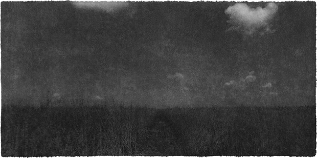 Jungjin Lee: Recent Projects - Works from Everglades - Howard Greenberg Gallery - 2015