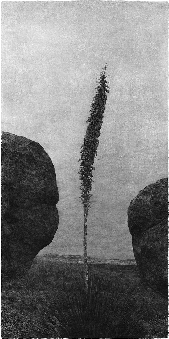 Jungjin Lee - Opening - Howard Greenberg Gallery - 2018