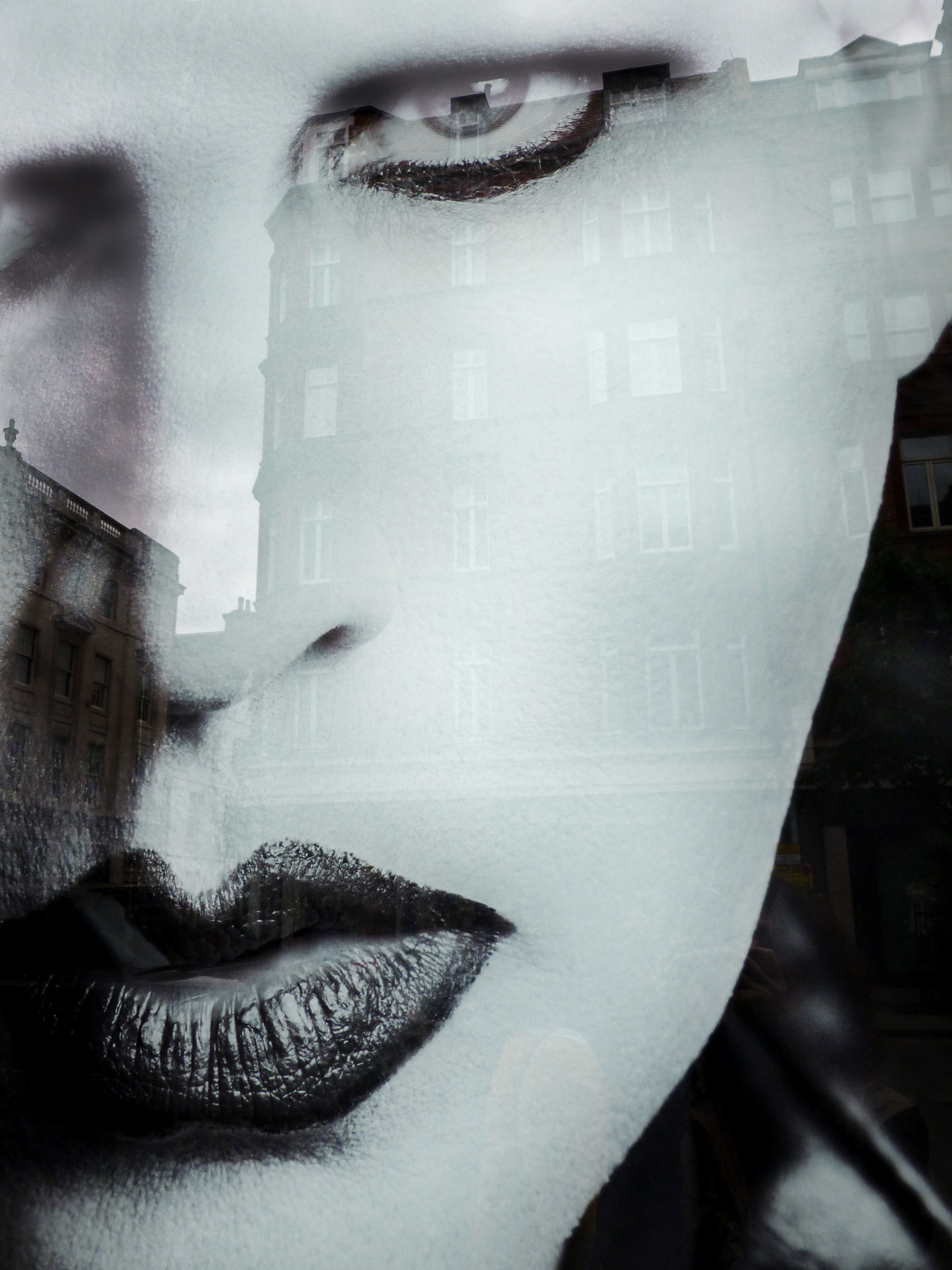 Upon Reflection Photographs by Judy Glickman Lauder Howard Greenberg Gallery 2017