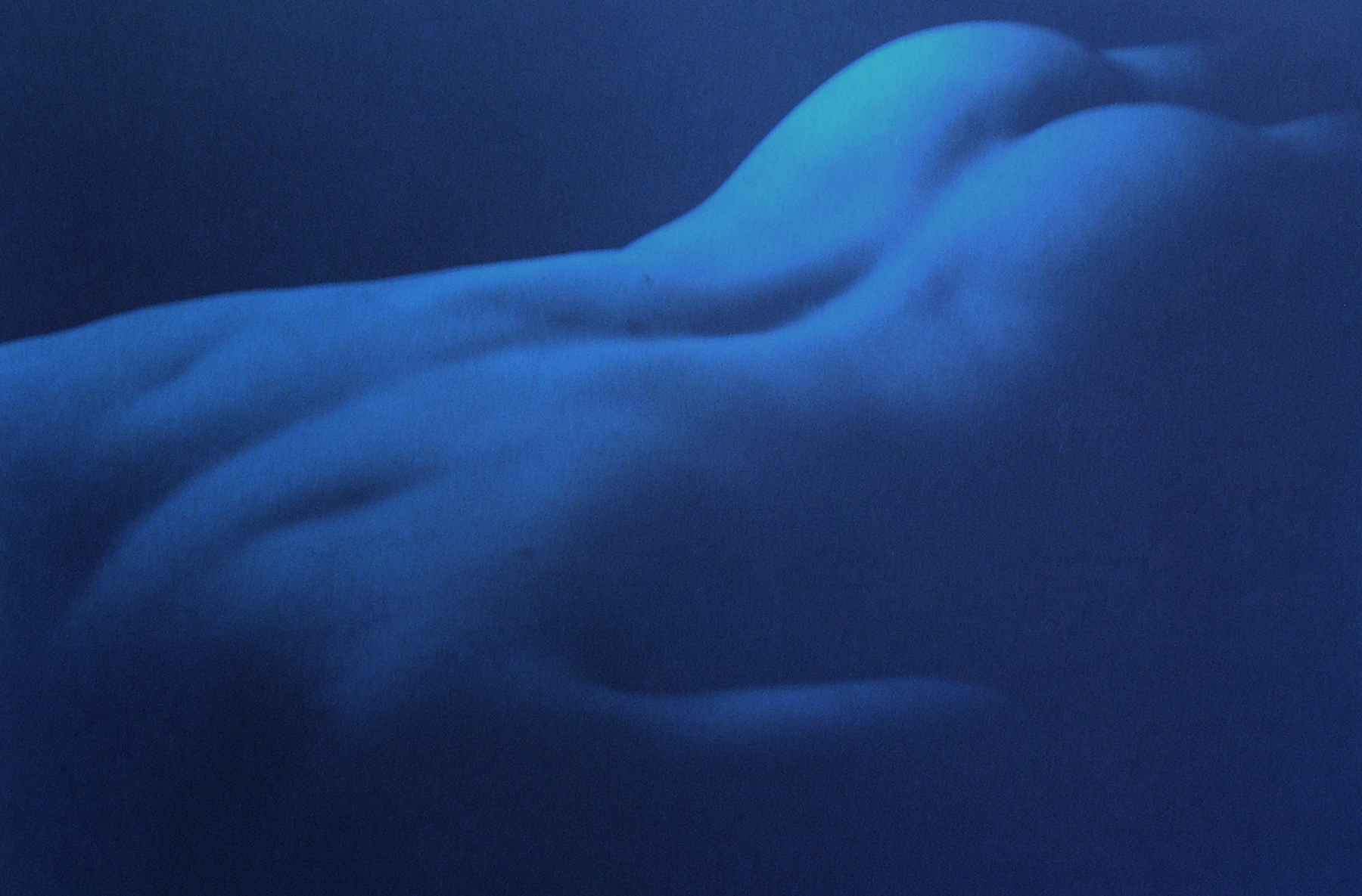 Kenro Izu: Blue 2004 Howard Greenberg gallery