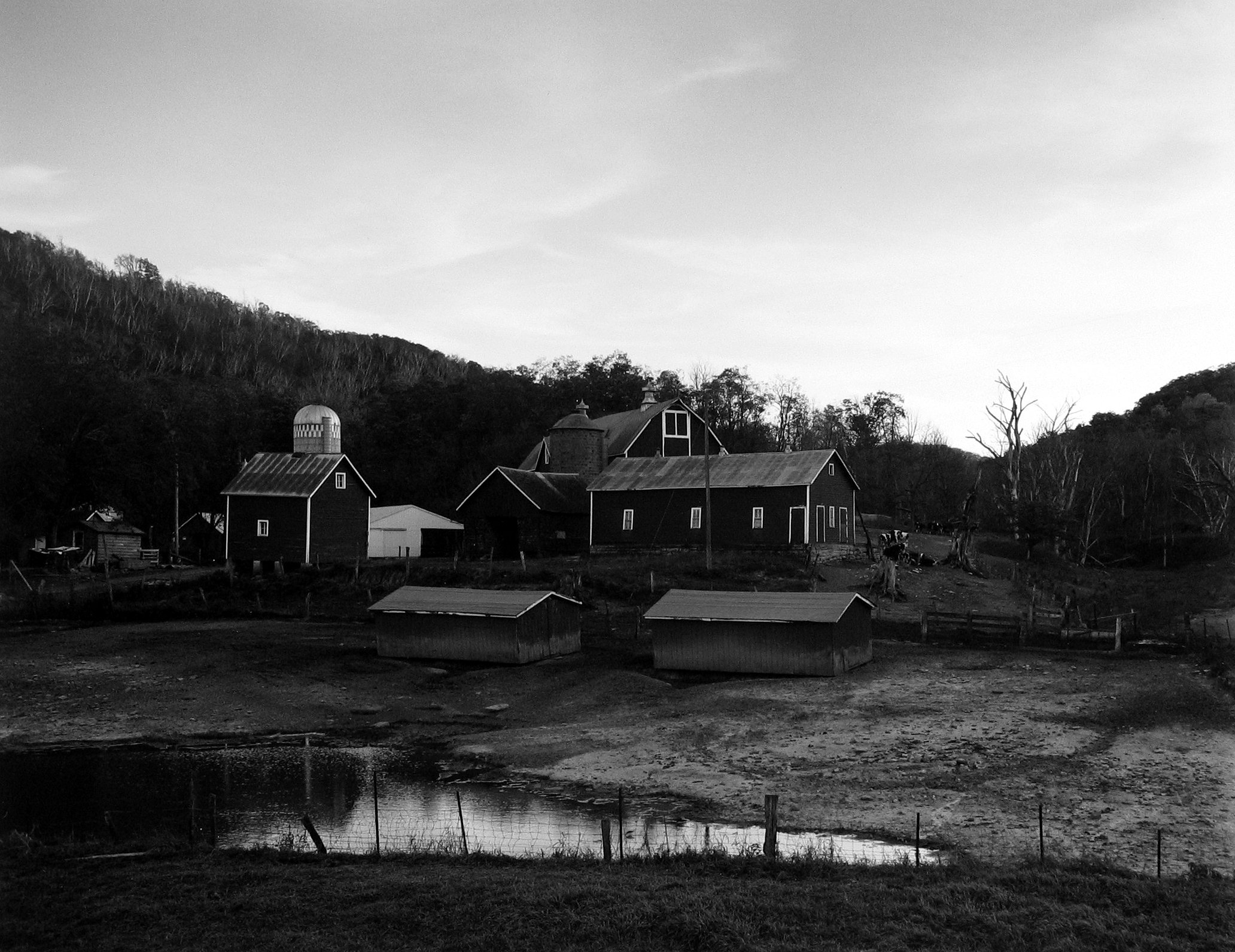 A Cool Breeze - Howard Greenberg Gallery - 2016 - Summer Nights