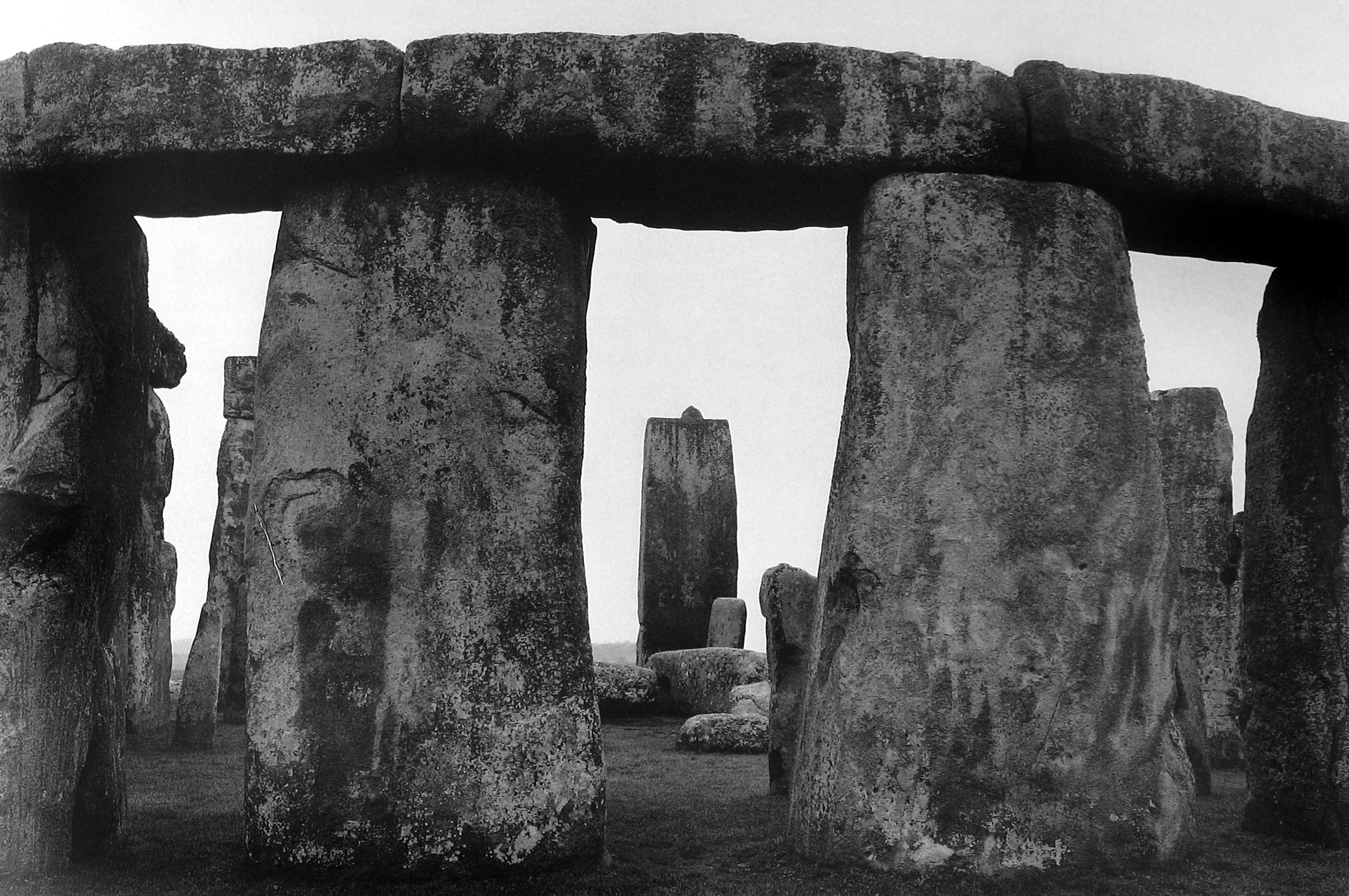 Kenro Izu: Stillness 2007 2008 Howard Greenberg Gallery