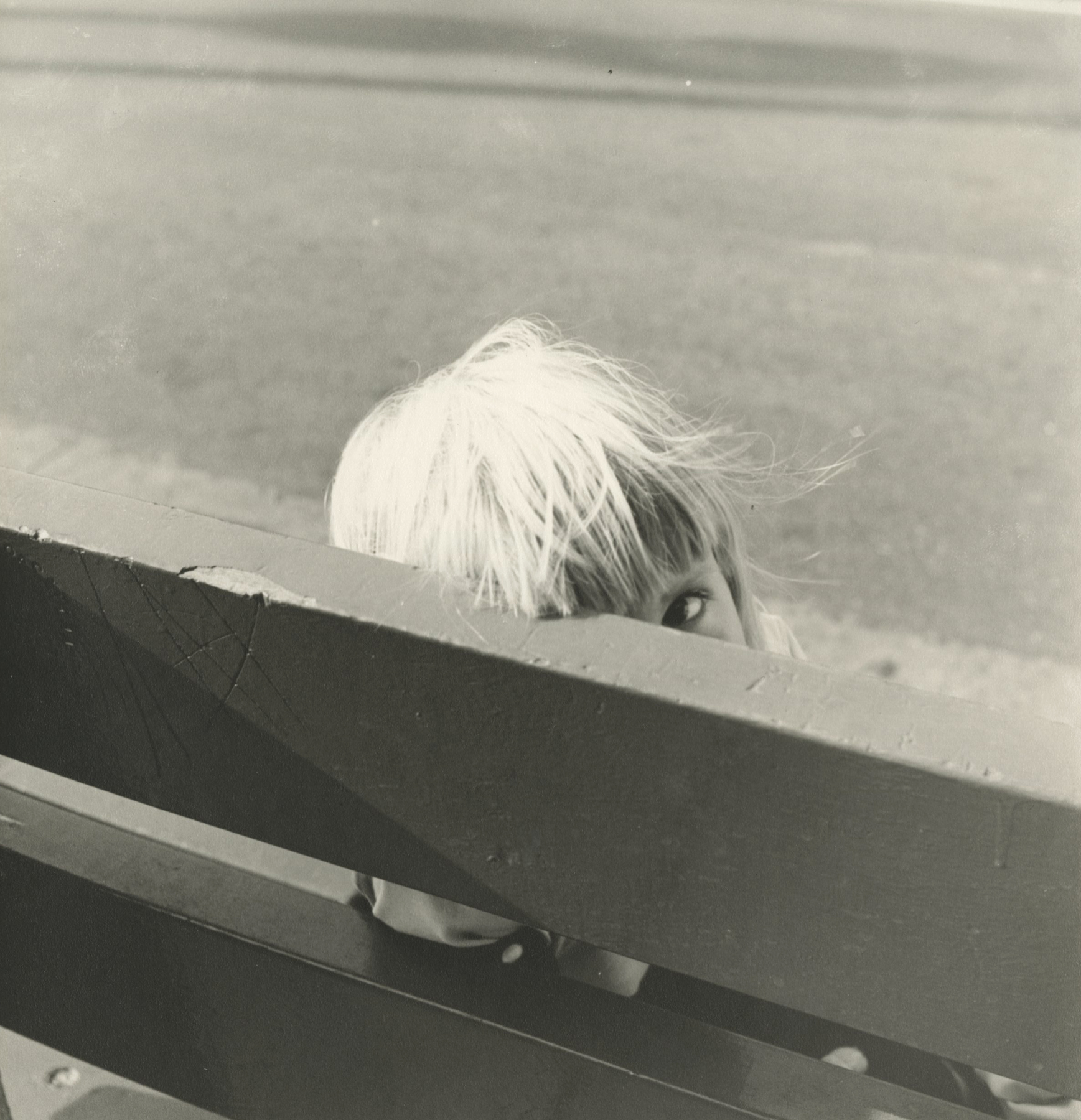 Vivian Maier - In Her Own Hands - Howard Greenberg Gallery - 2014 - 2015