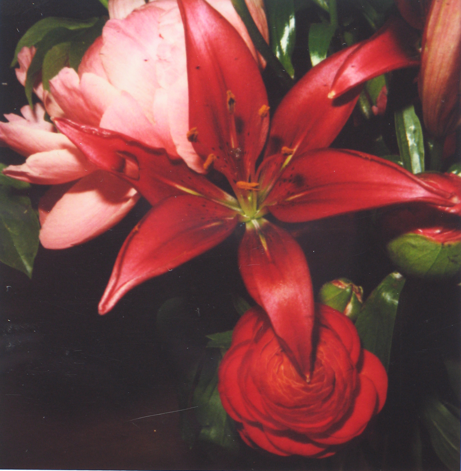 Photographers of Japanese Descent 2008 Howard Greenberg Gallery