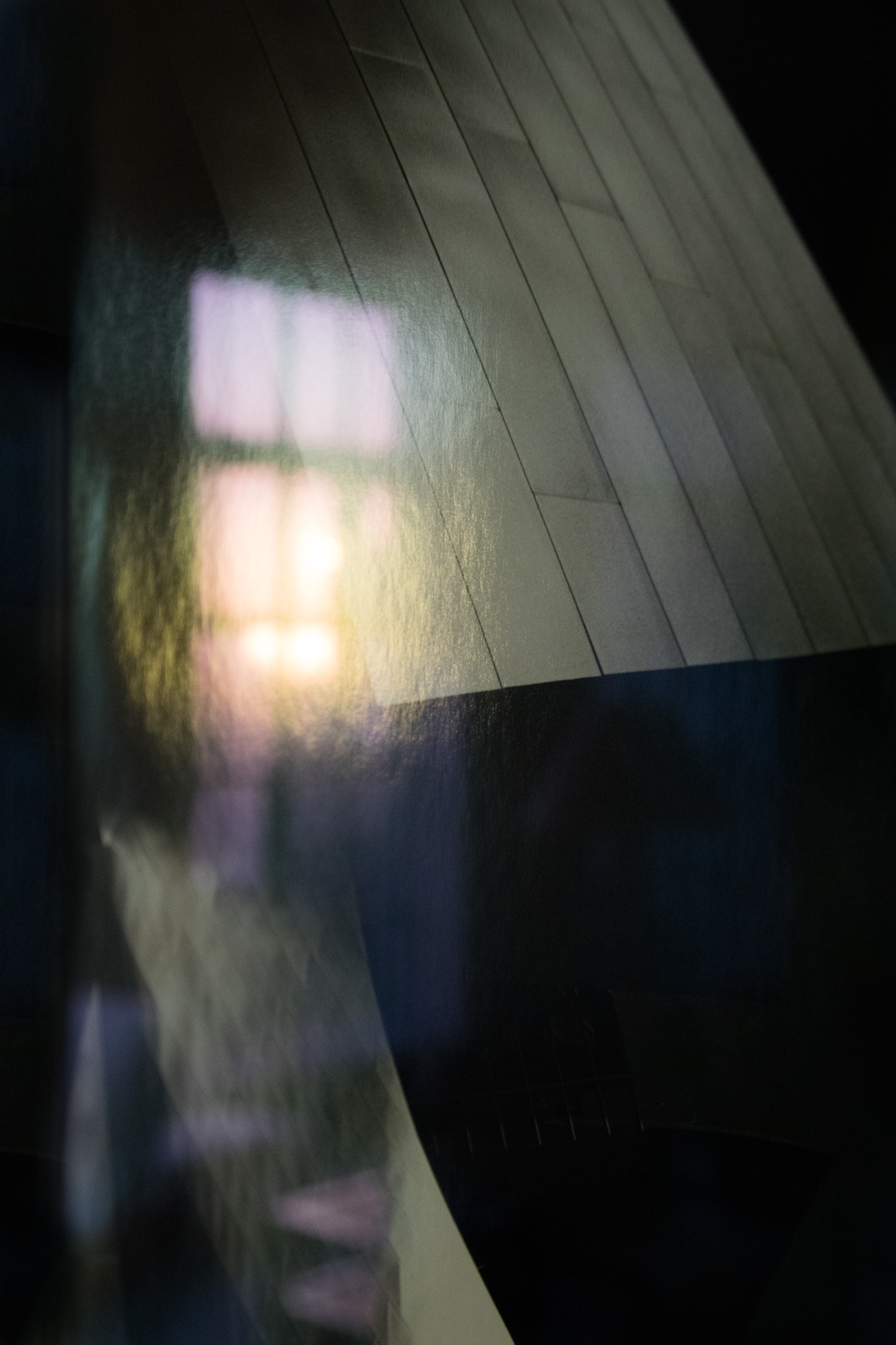 Upon Reflection Photographs by Judy Glickman Lauder Howard Greenberg Gallery 2017