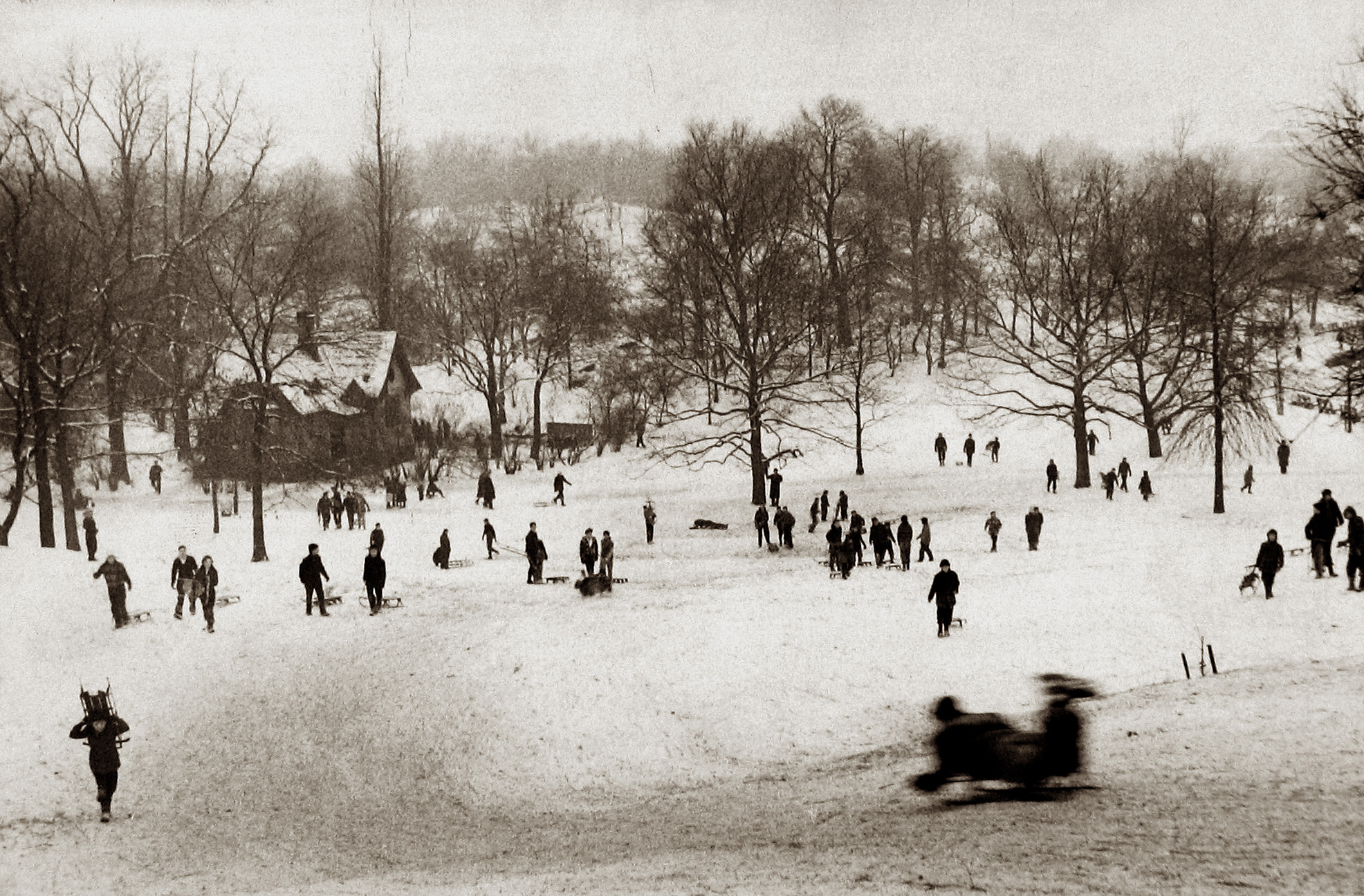 Staff Picks 2009 Howard Greenberg Gallery