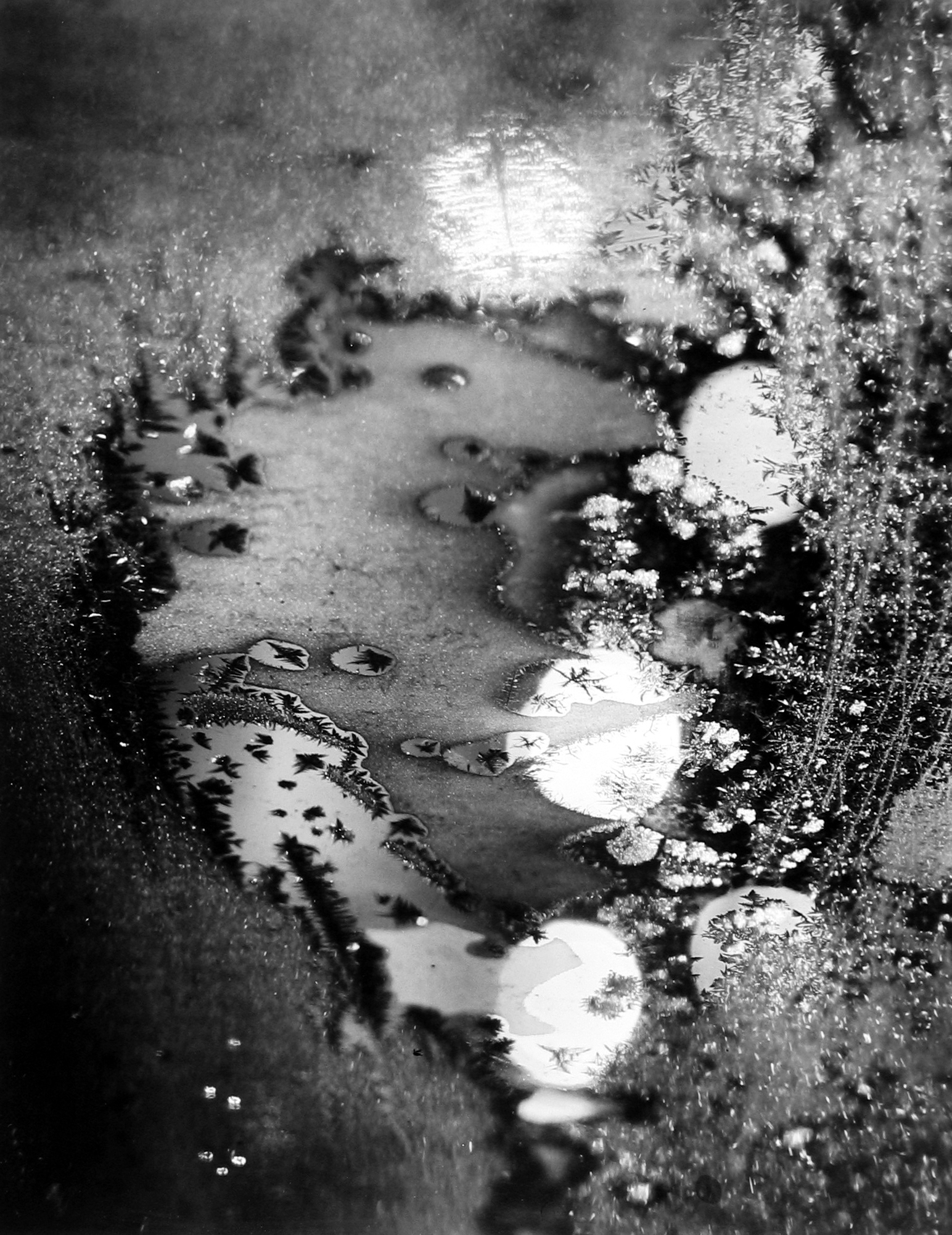 Minor White: Eye Mind Spirit 2008 Howard Greenberg Gallery