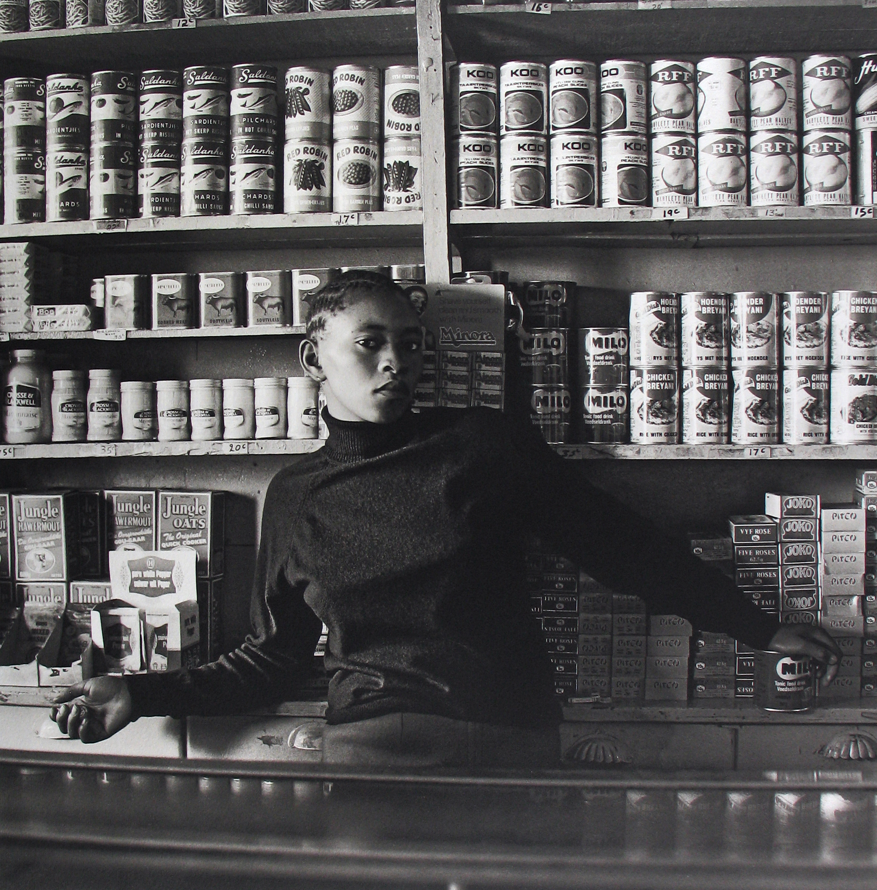 David Goldblatt: A seletion 2010 howard greenberg gallery