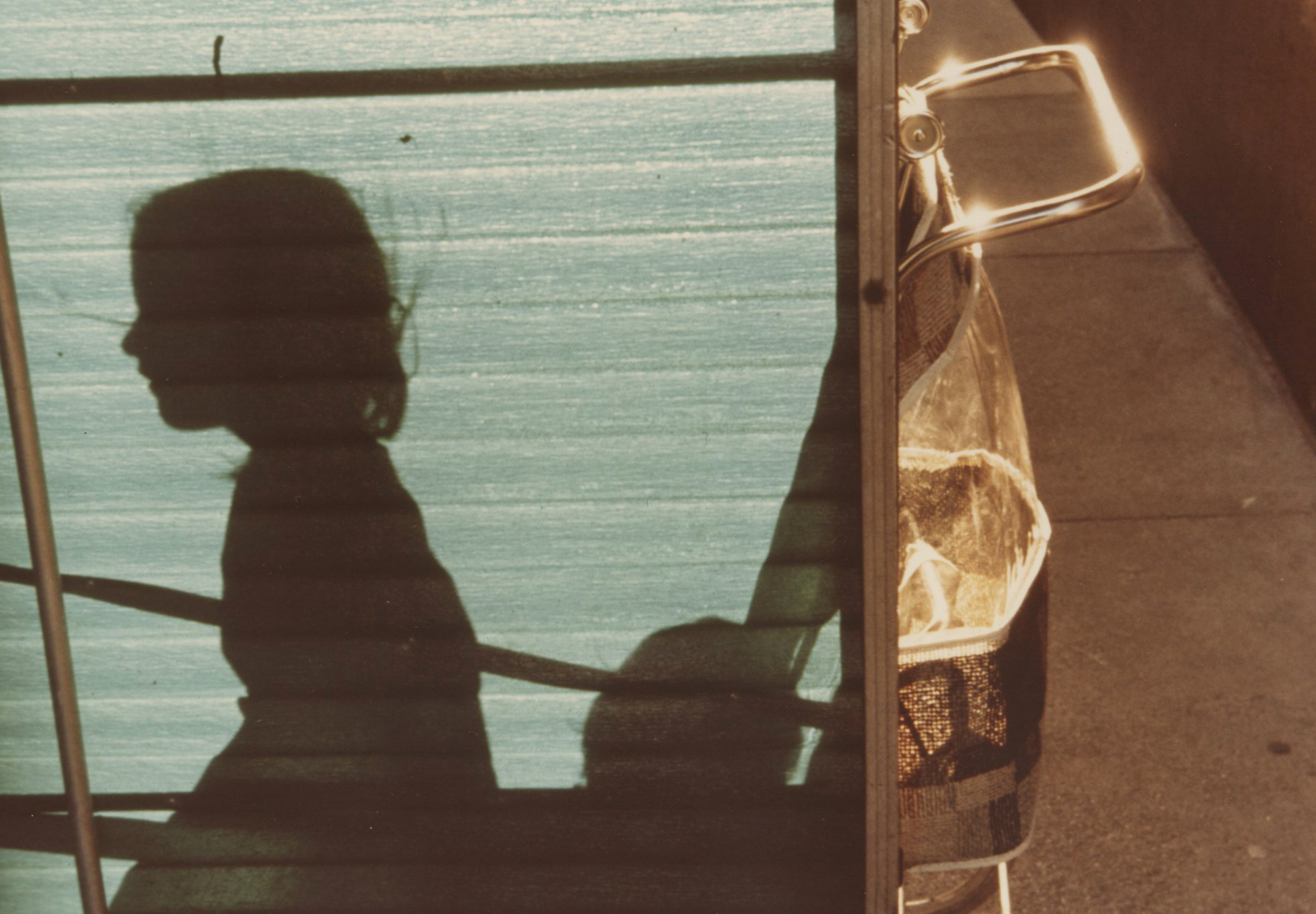 Vivian Maier - In Her Own Hands - Howard Greenberg Gallery - 2014 - 2015