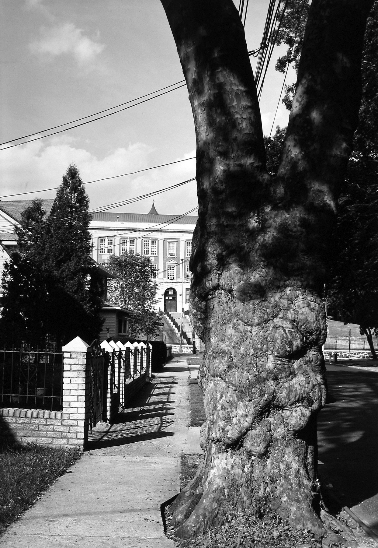 Frank Gohlke: Queens 2008 Howard Greenberg Gallery