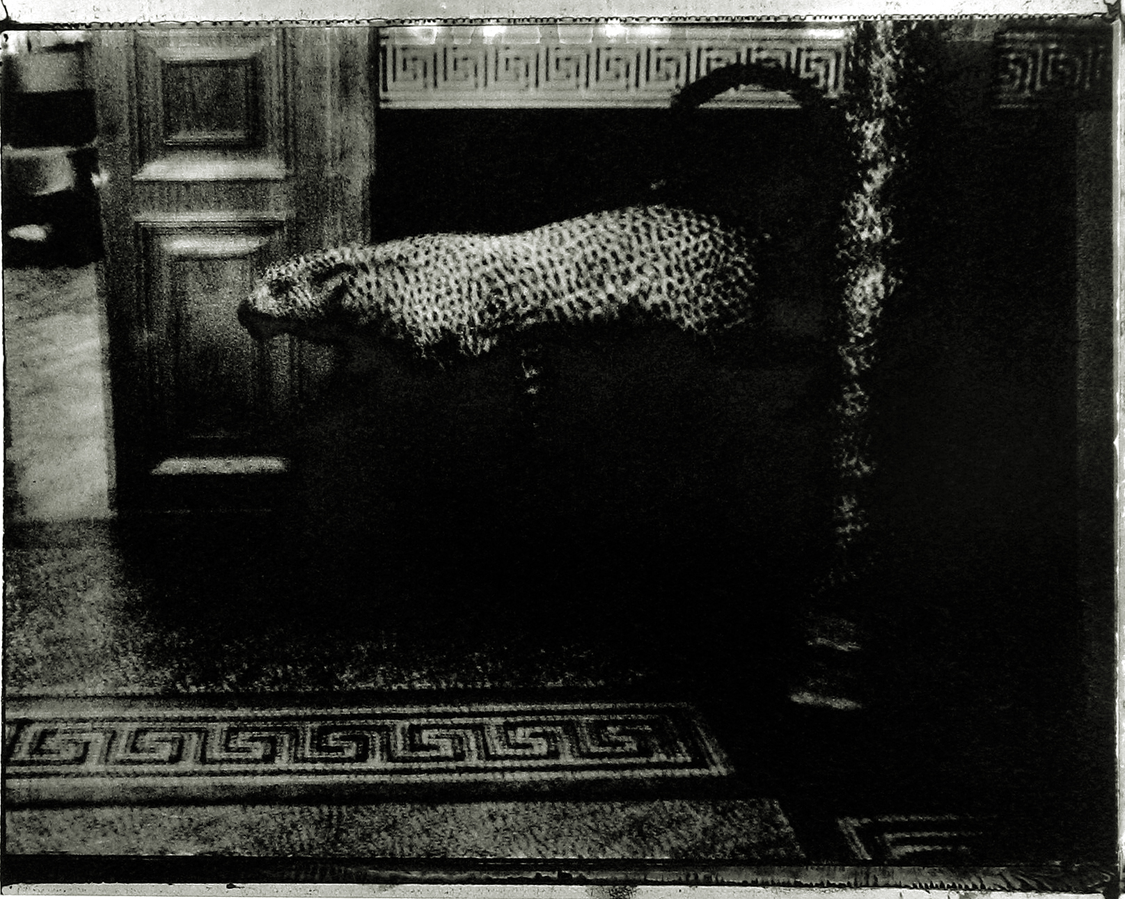 Sarah Moon: Circus 2004 2005 howard greenberg gallery