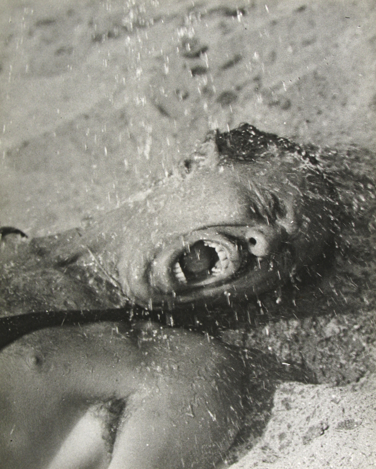 Martin Munkacsi: Vitality 2009 Howard Greenberg Gallery