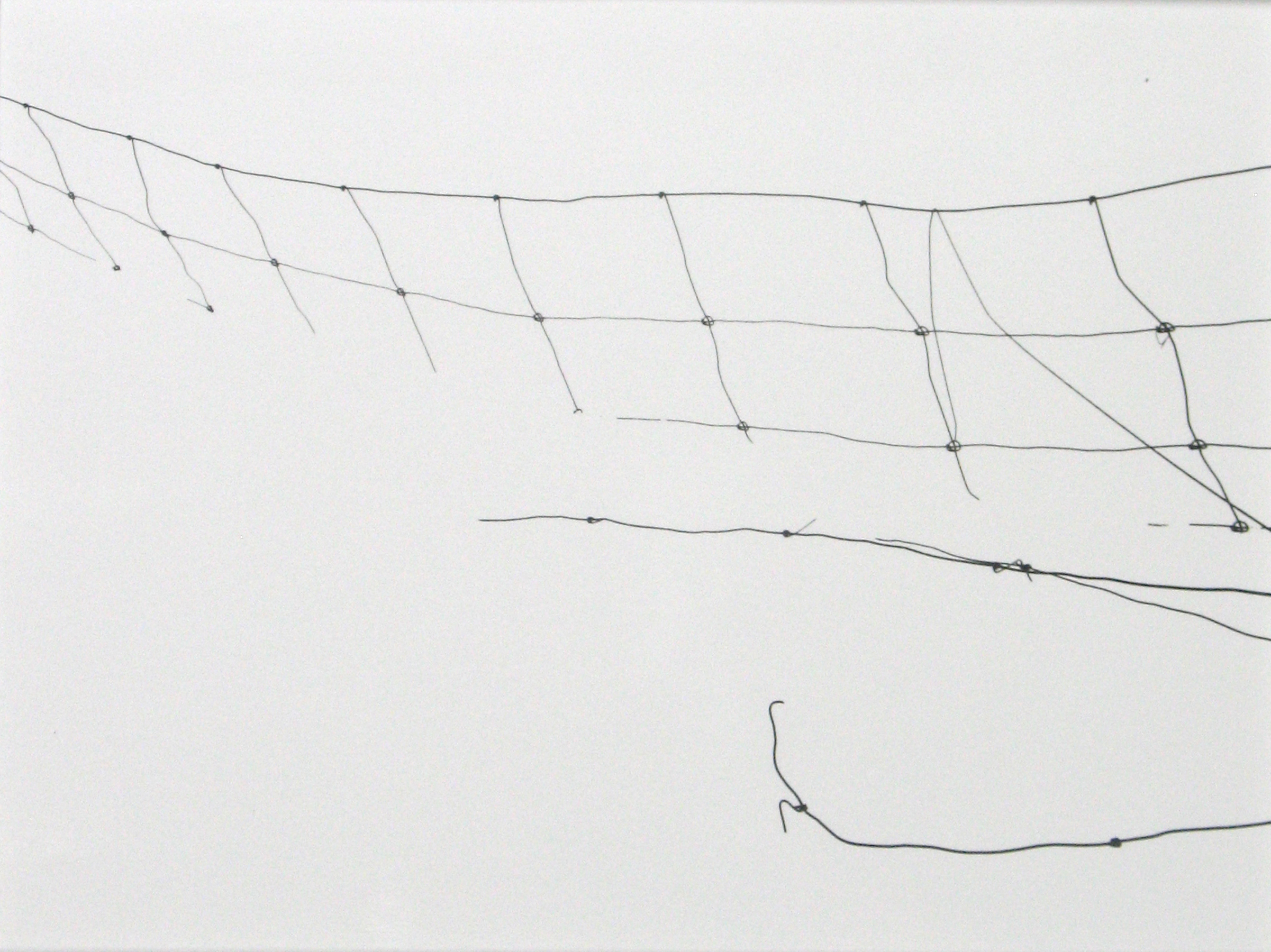 Staff Picks 2010 Howard Greenberg Gallery