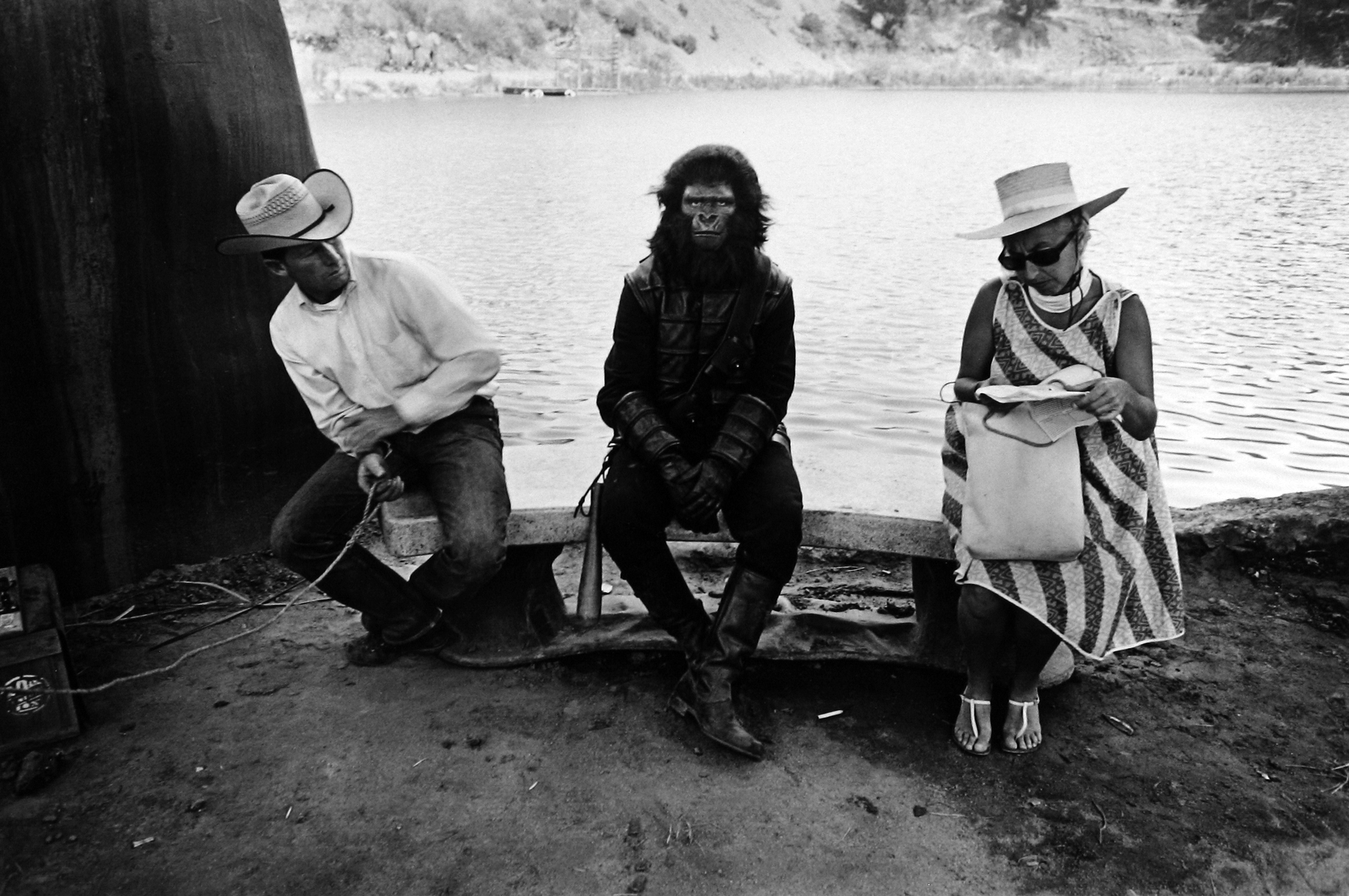 Dennis Stock: Altered States 2009 Howard Greenberg Gallery