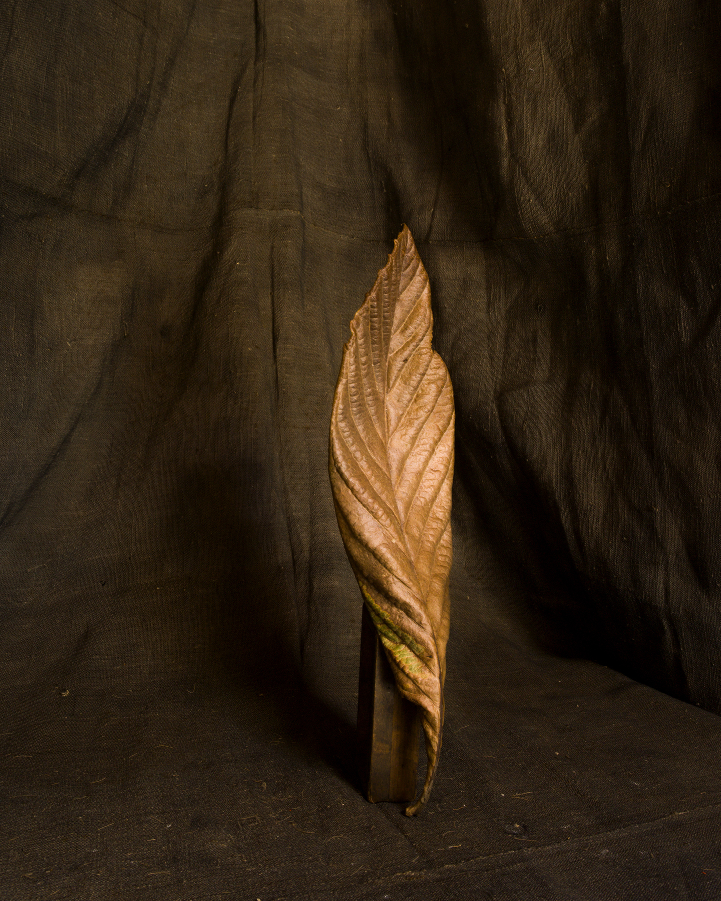 Joel Meyerowitz - The Effect of France 2014 howard greenberg gallery