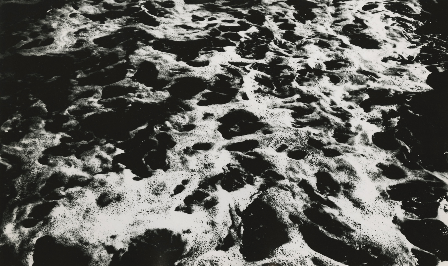 Marvin E. Newman: Sequentially Sought - Howard Greenberg Gallery - 2015