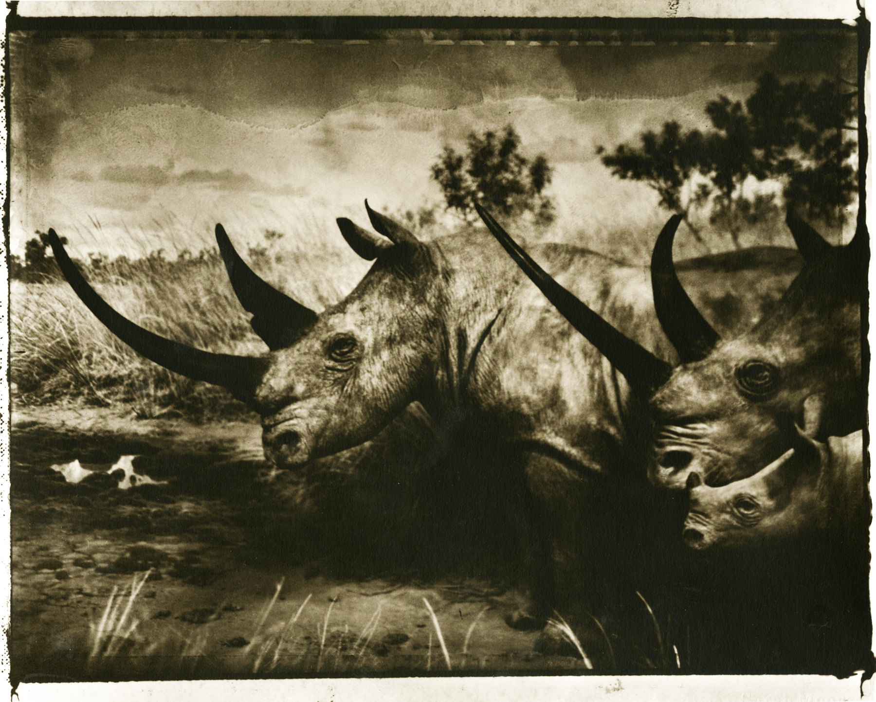Sarah Moon: Now and Then 2012 Howard Greenberg Gallery