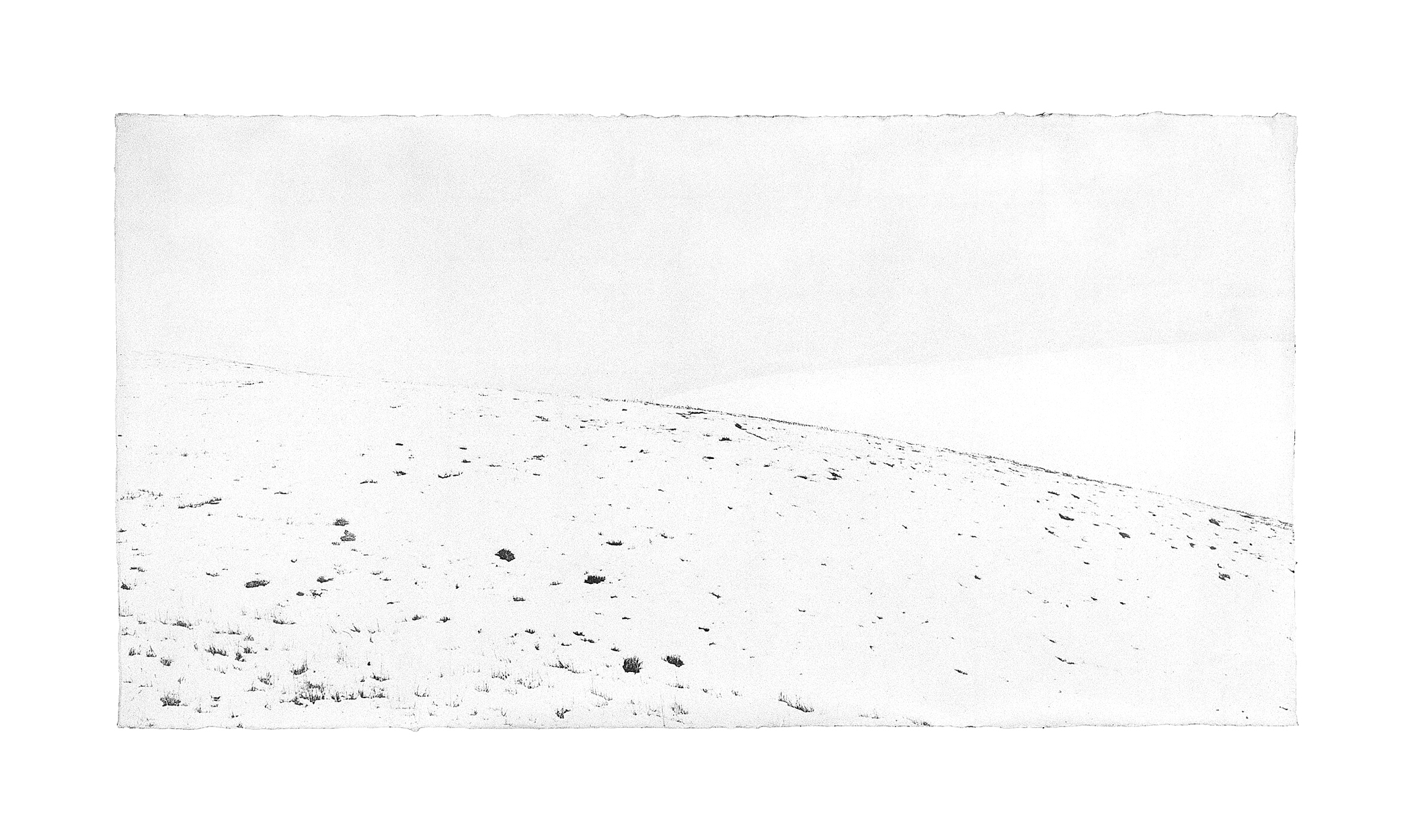 Jungjin Lee - Opening - Howard Greenberg Gallery - 2018