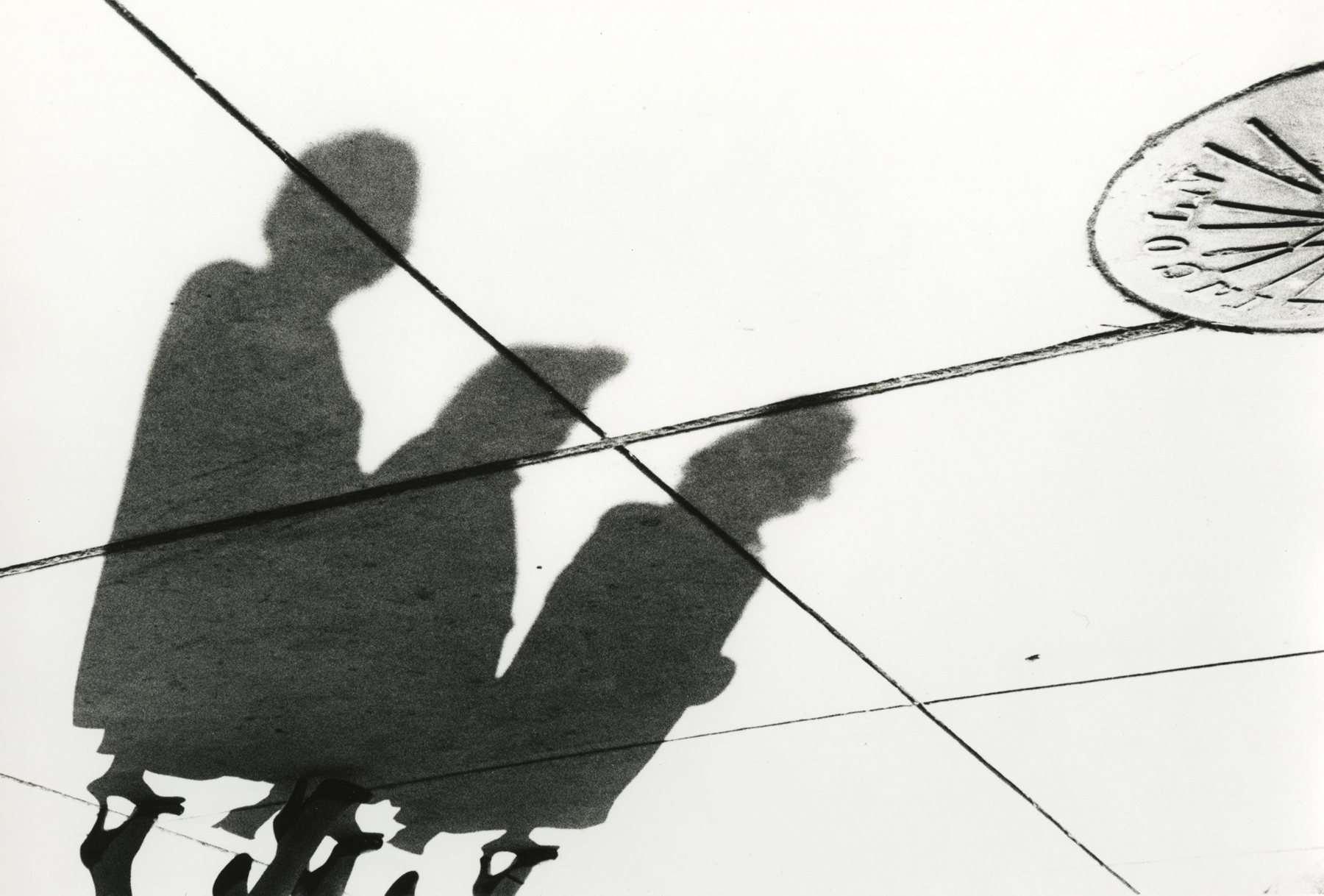 Marvin E. Newman: Sequentially Sought - Howard Greenberg Gallery - 2015