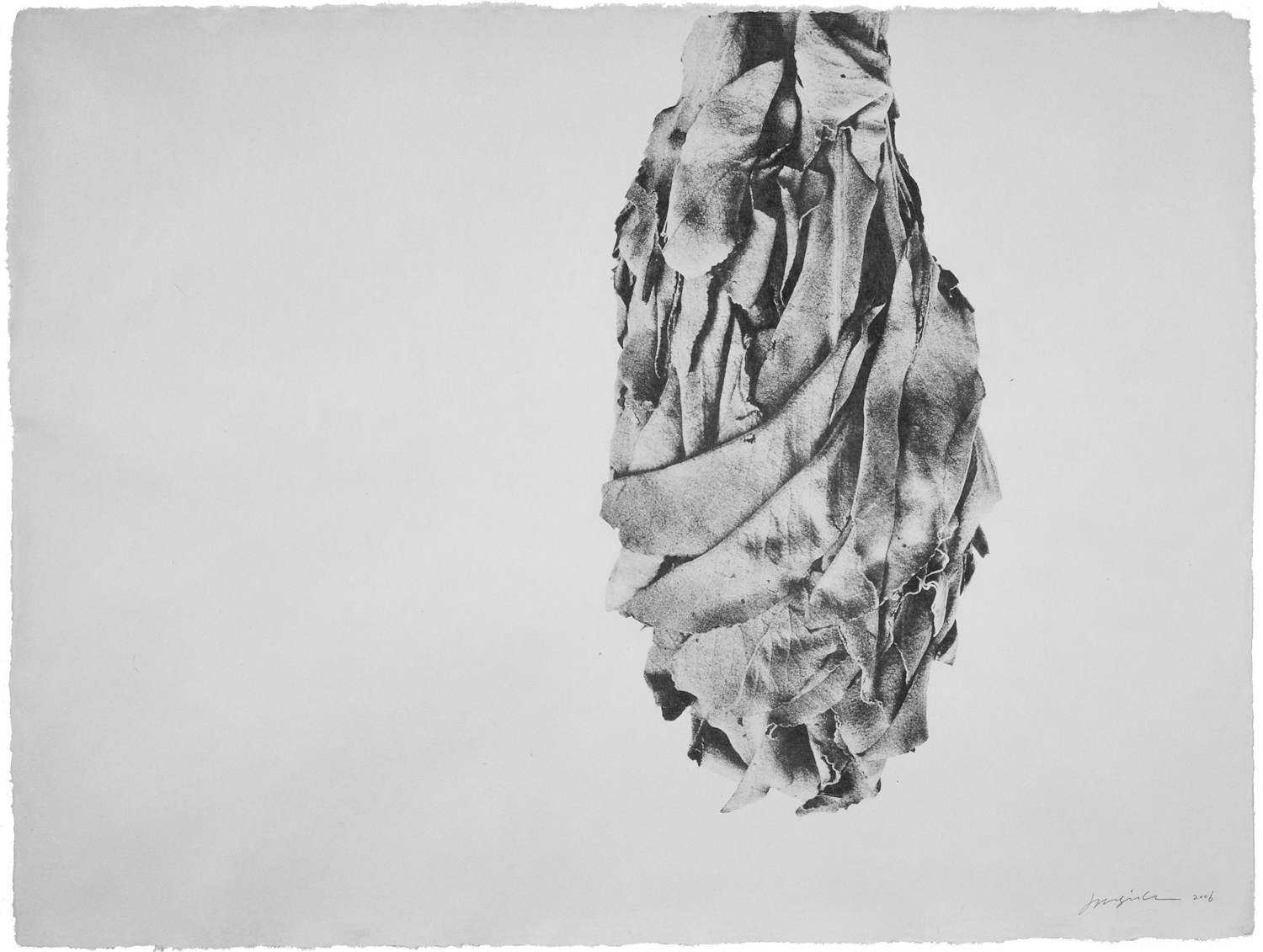 Jungjin Lee, Thing 06-54, 2006, Howard Greenberg Gallery, 2019