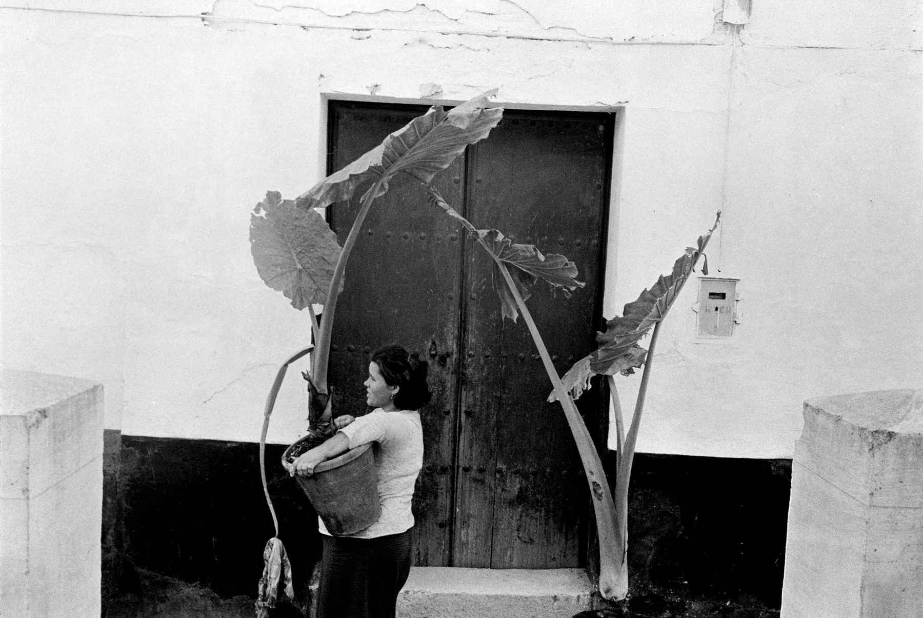 Joel Meyerowitz - European Trip: Photographs from the Car, 1968 2014 Howard Greenberg Gallery