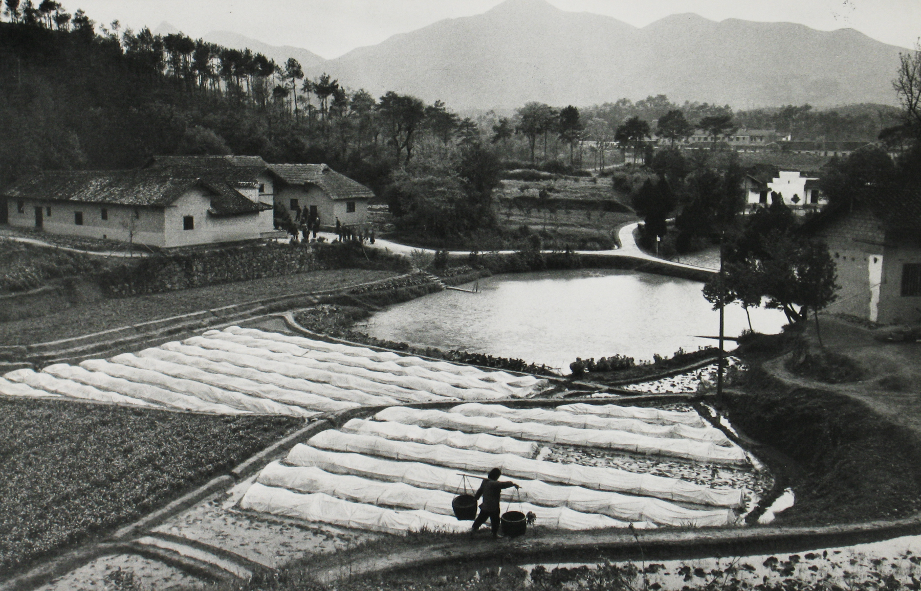 Marc Riboud: Home on the road 2008 Howard Greenberg Gallery