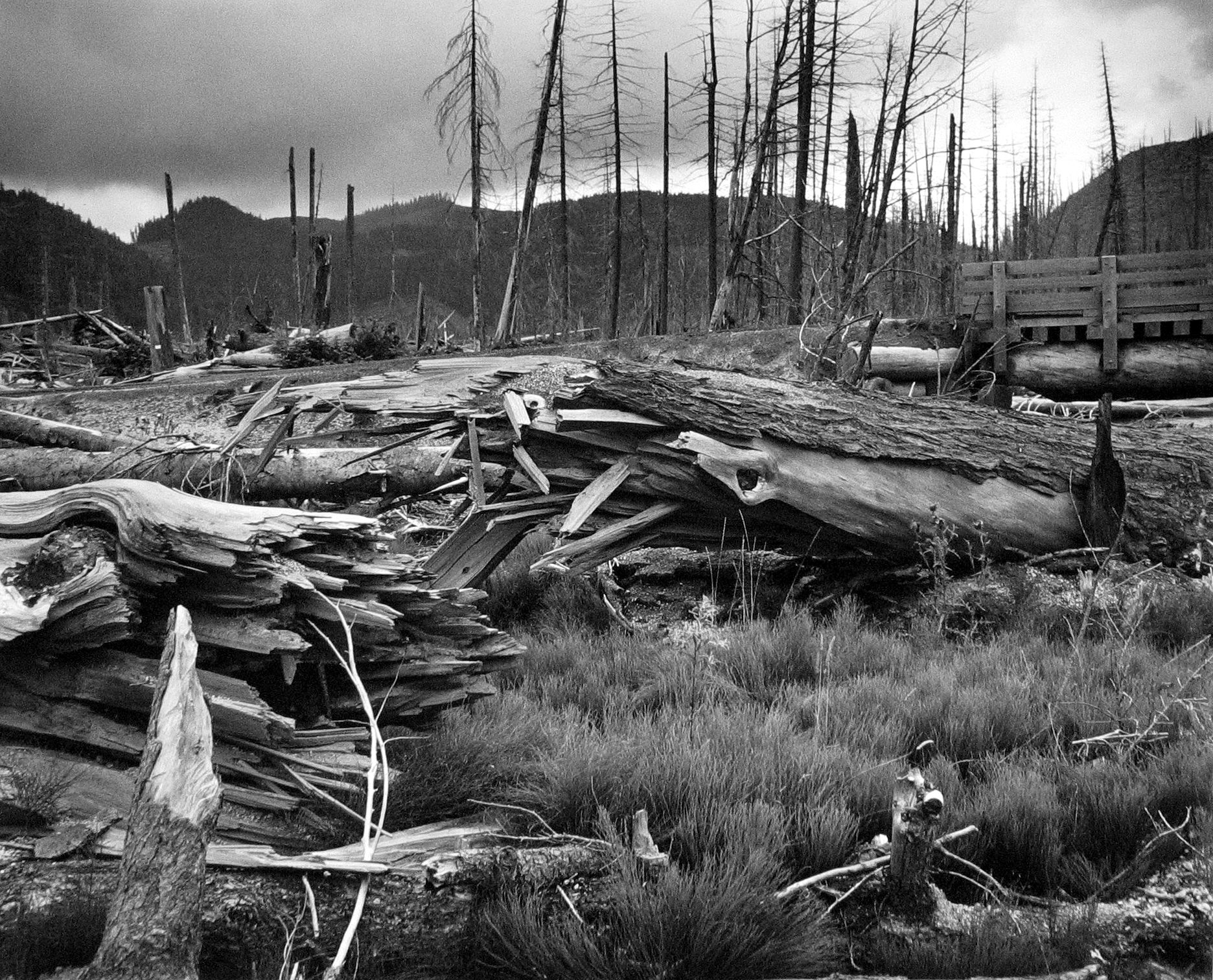 Frank Gohlke: Mount St. Helens 2005 howard greenberg gallery