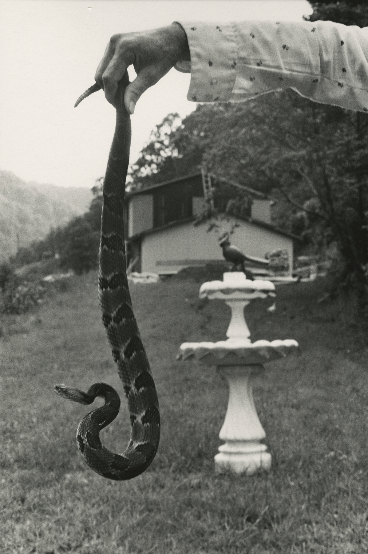 Staff Picks VI - Howard Greenberg Gallery - 2017