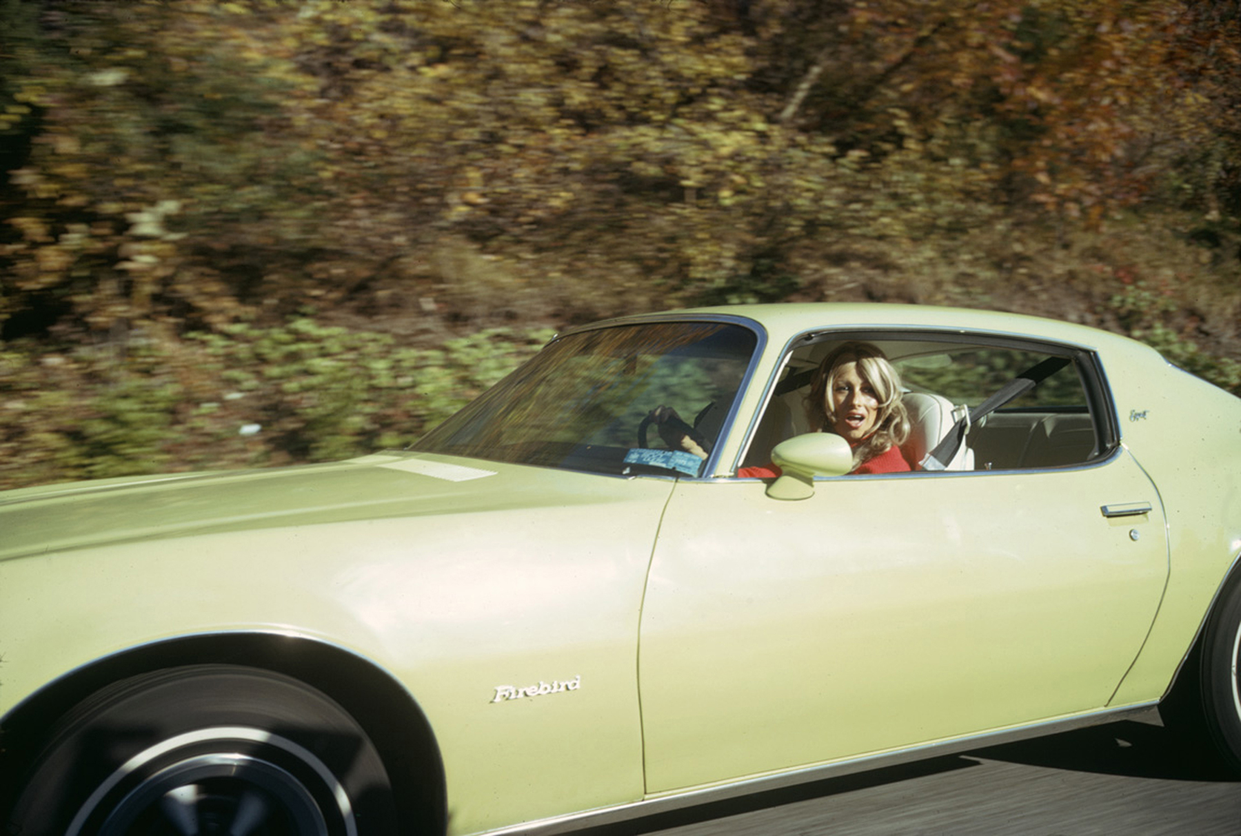 Joel Meyerowitz From the Car 2014 Howard Greenberg Gallery