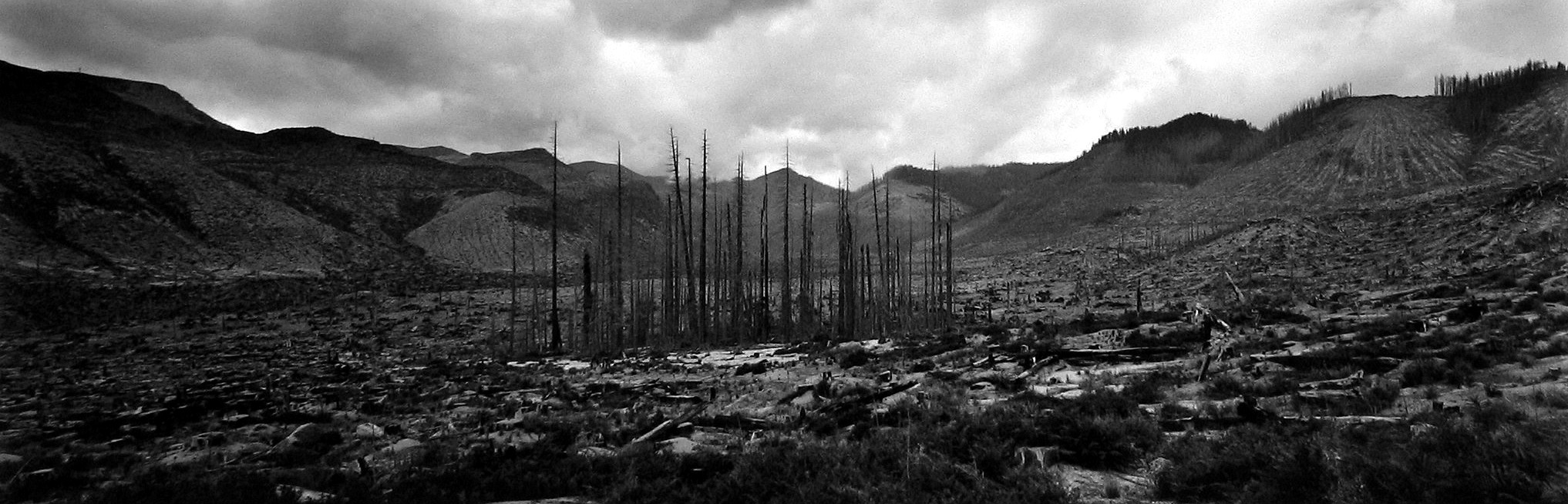 Frank Gohlke: Mount St. Helens 2005 howard greenberg gallery
