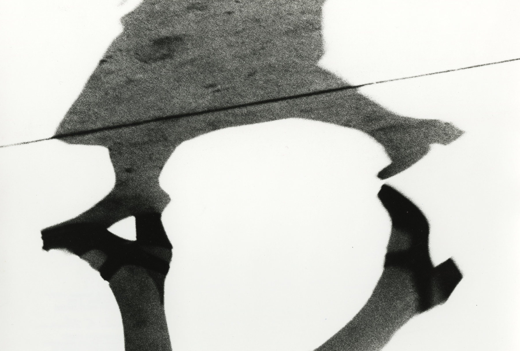 Marvin E. Newman: Sequentially Sought - Howard Greenberg Gallery - 2015