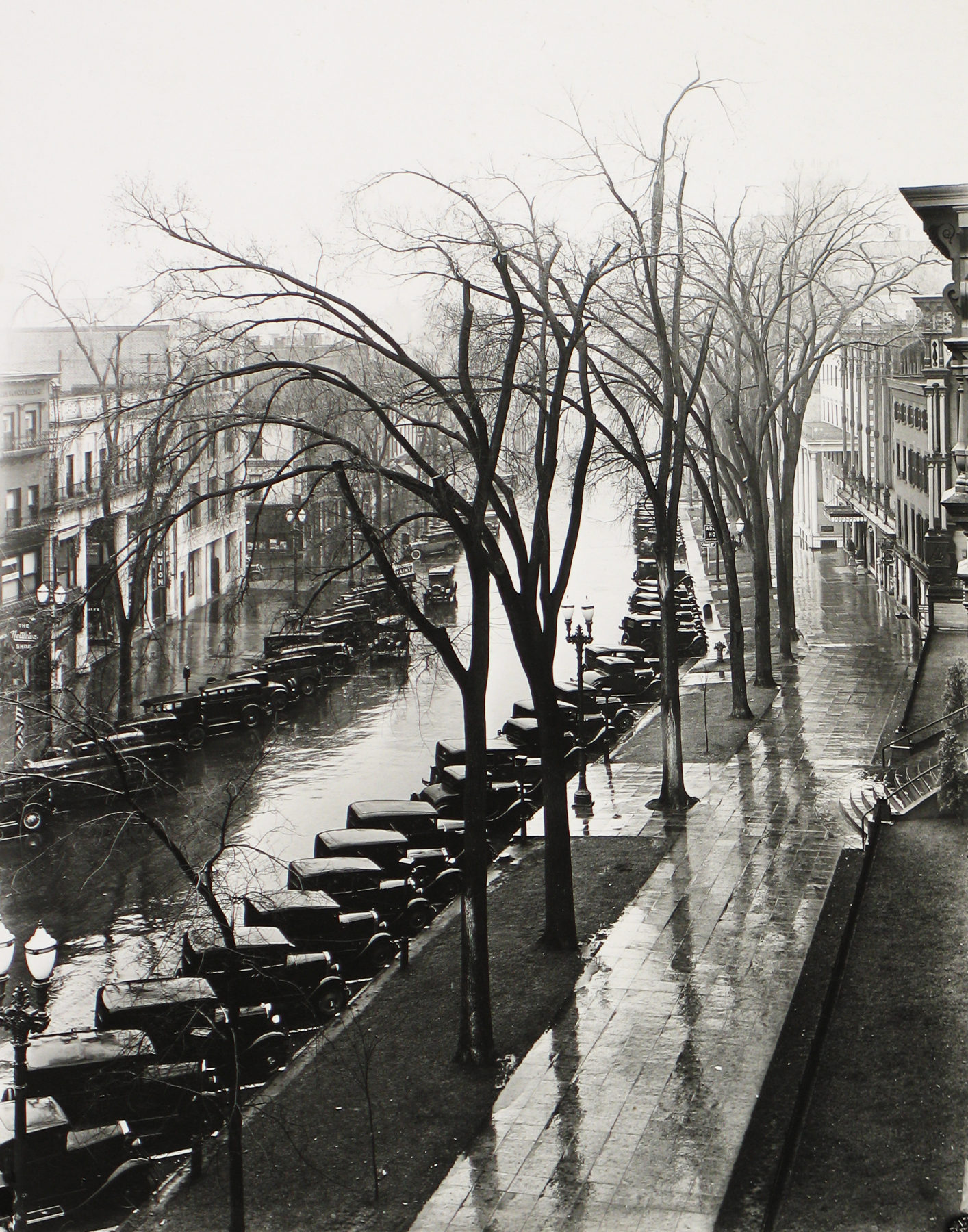 Selections From Private Collections 2011 Howard Greenberg Gallery