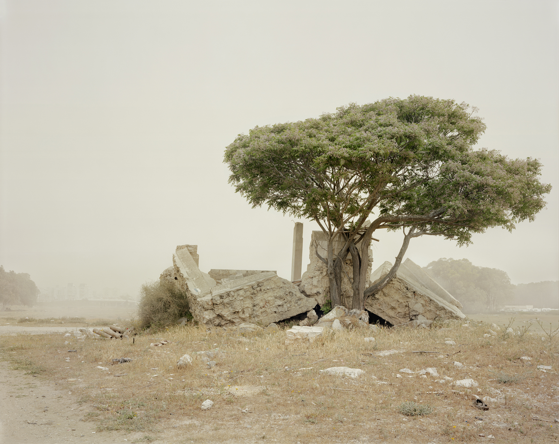 Frédéric Brenner - An Archeology of Fear and Desire - Hadera, 2013 - Howard Greenberg Gallery