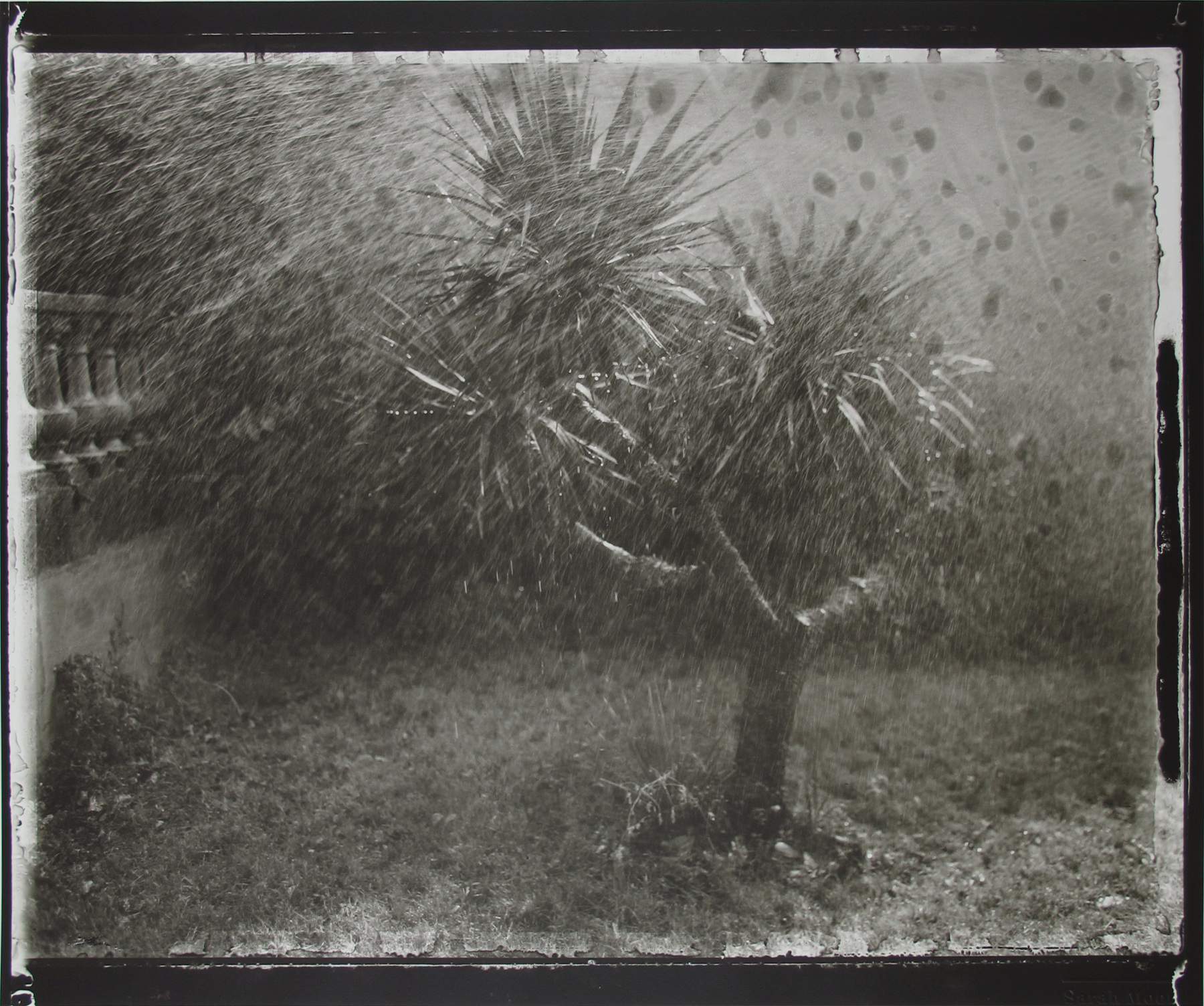 Sarah Moon: Now and Then 2012 Howard Greenberg Gallery