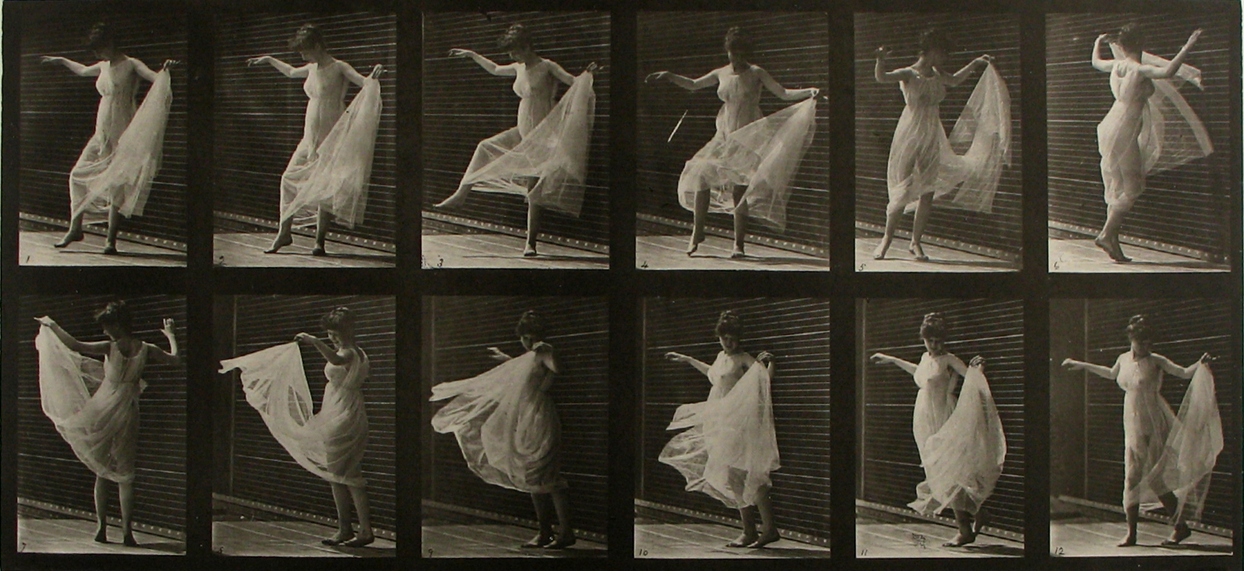 Selections From Private Collections 2011 Howard Greenberg Gallery