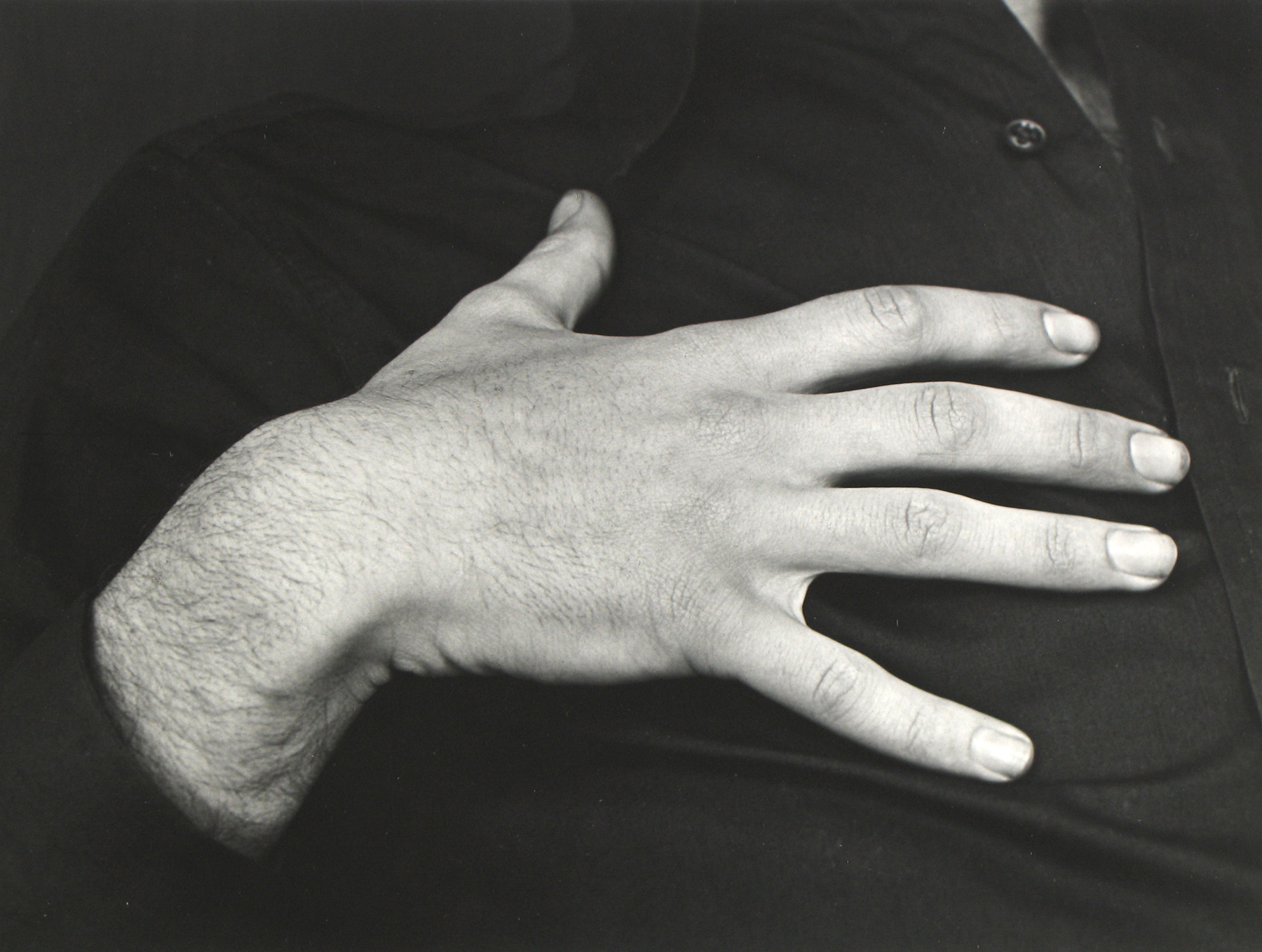 Selections From Private Collections 2011 Howard Greenberg Gallery