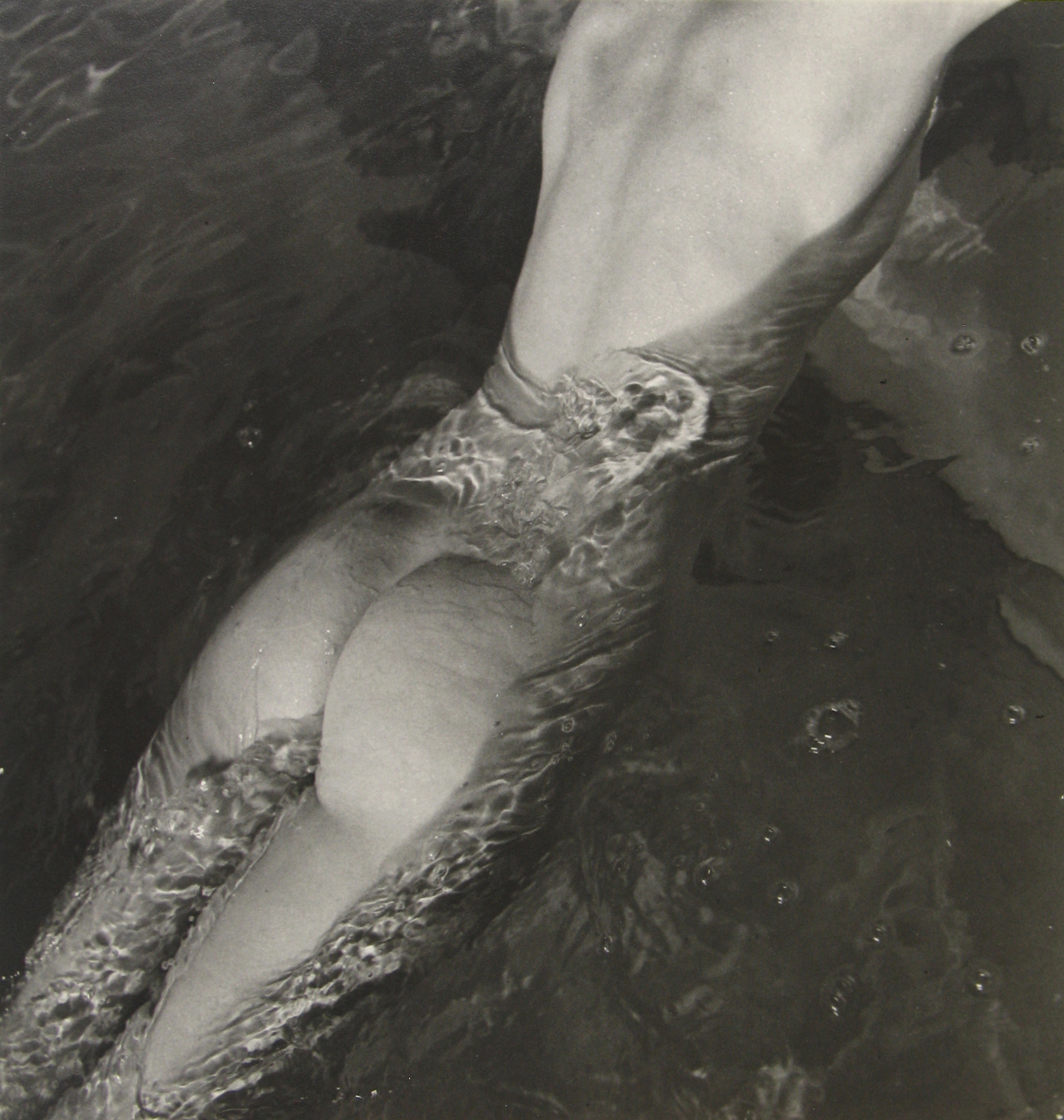 Selections From Private Collections 2011 Howard Greenberg Gallery