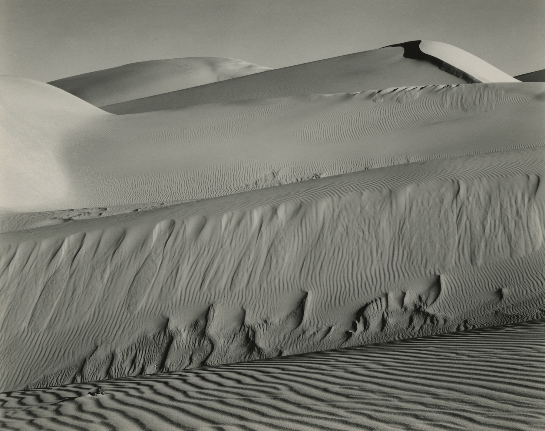 Staff Picks VI - Howard Greenberg Gallery - 2017 - Edward Weston