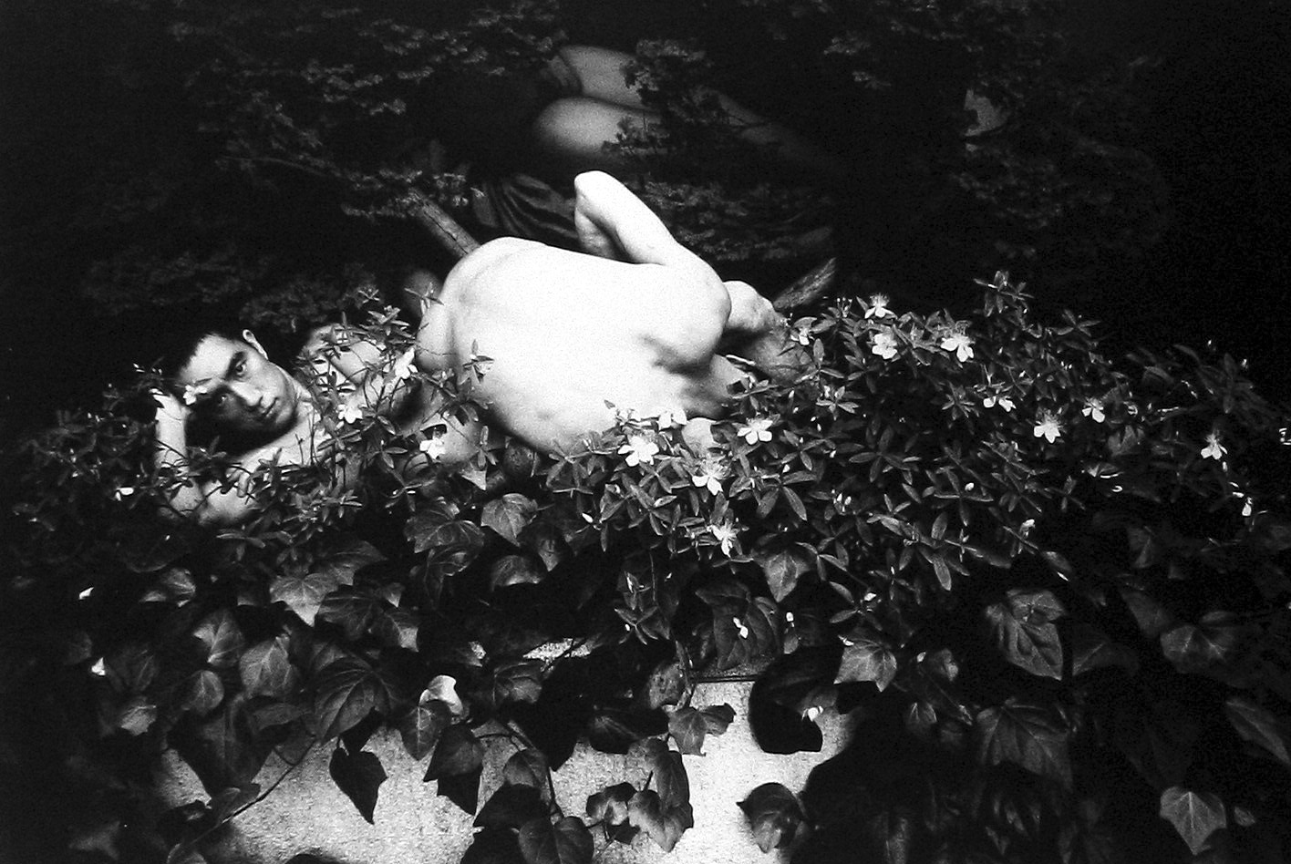 Photographers of Japanese Descent 2008 Howard Greenberg Gallery