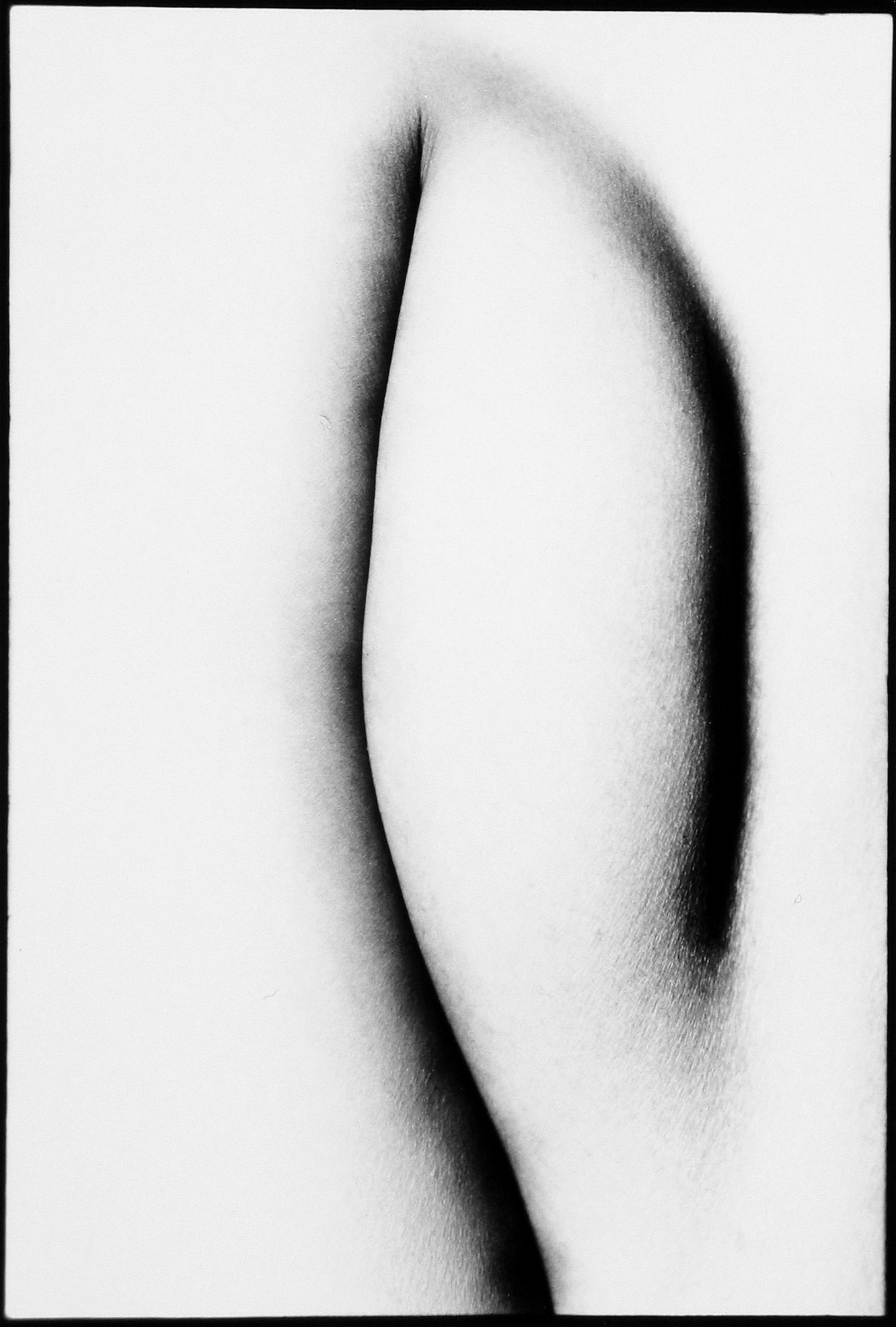 Photo Libris: Important Books and Photographs 2006 howard greenberg gallery