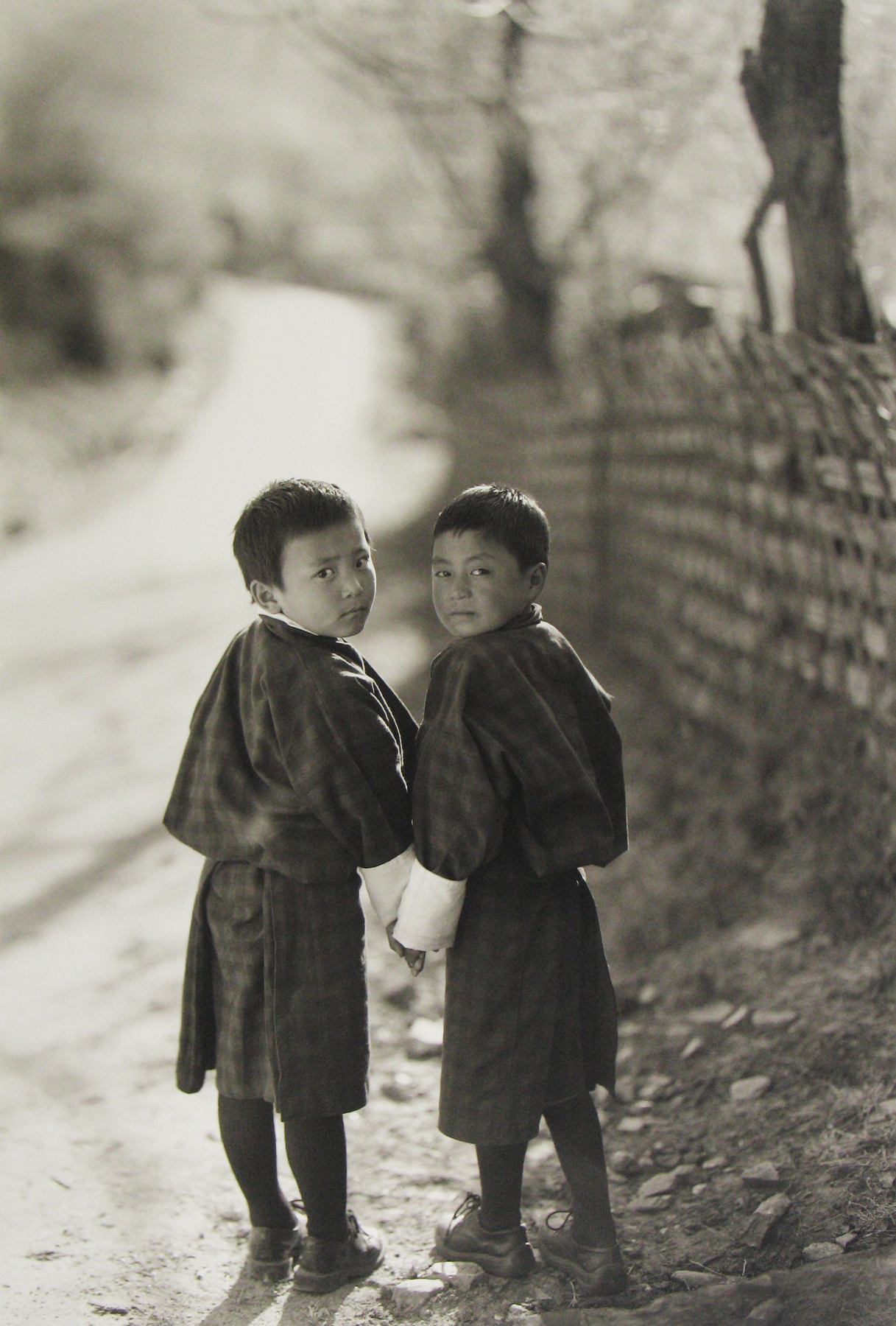 Kenro Izu: Stillness 2007 2008 Howard Greenberg Gallery