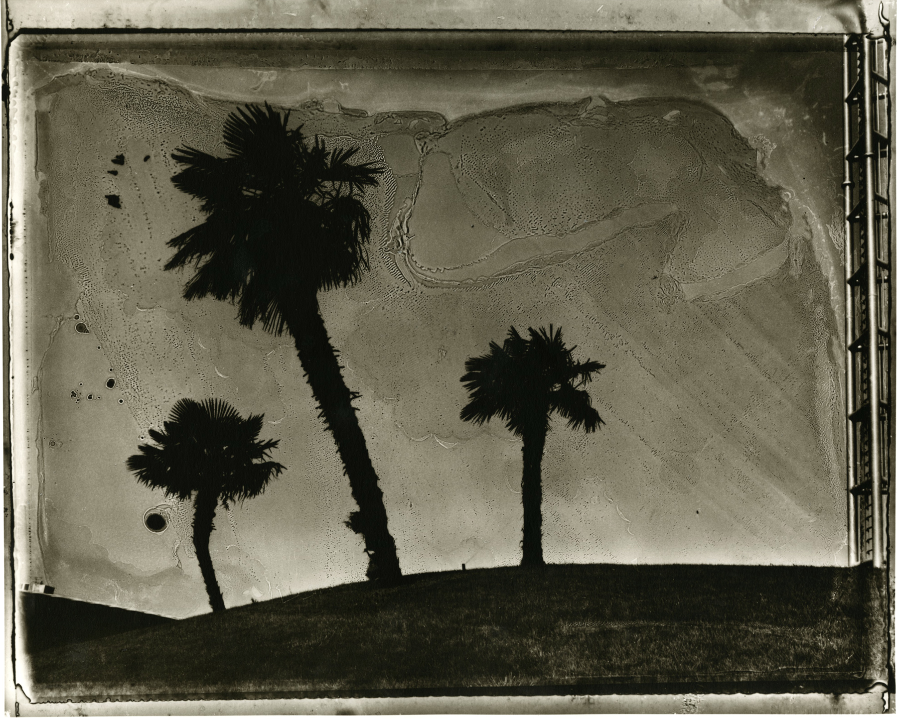 Sarah Moon: Now and Then 2012 Howard Greenberg Gallery