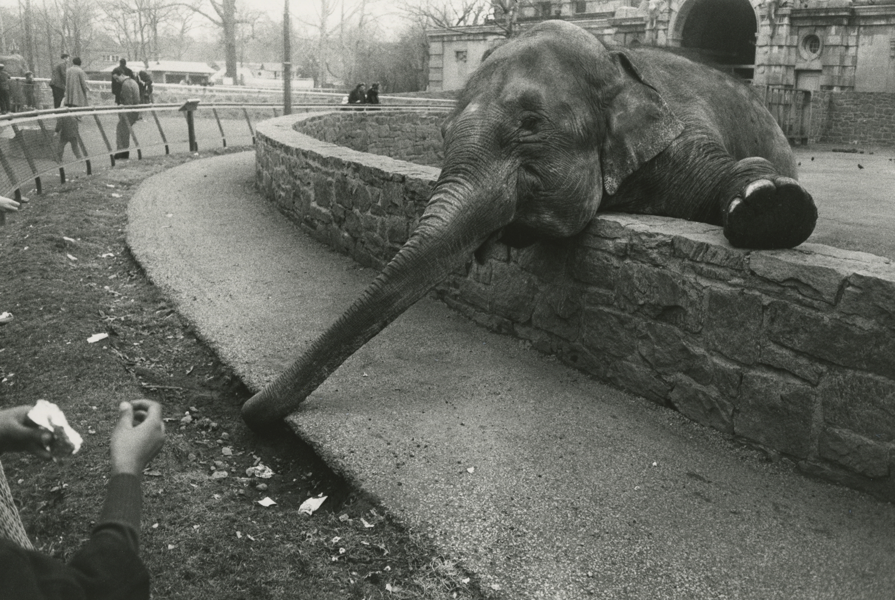 A New Vision: American Photography After the War, Howard Greenberg Gallery, 2018