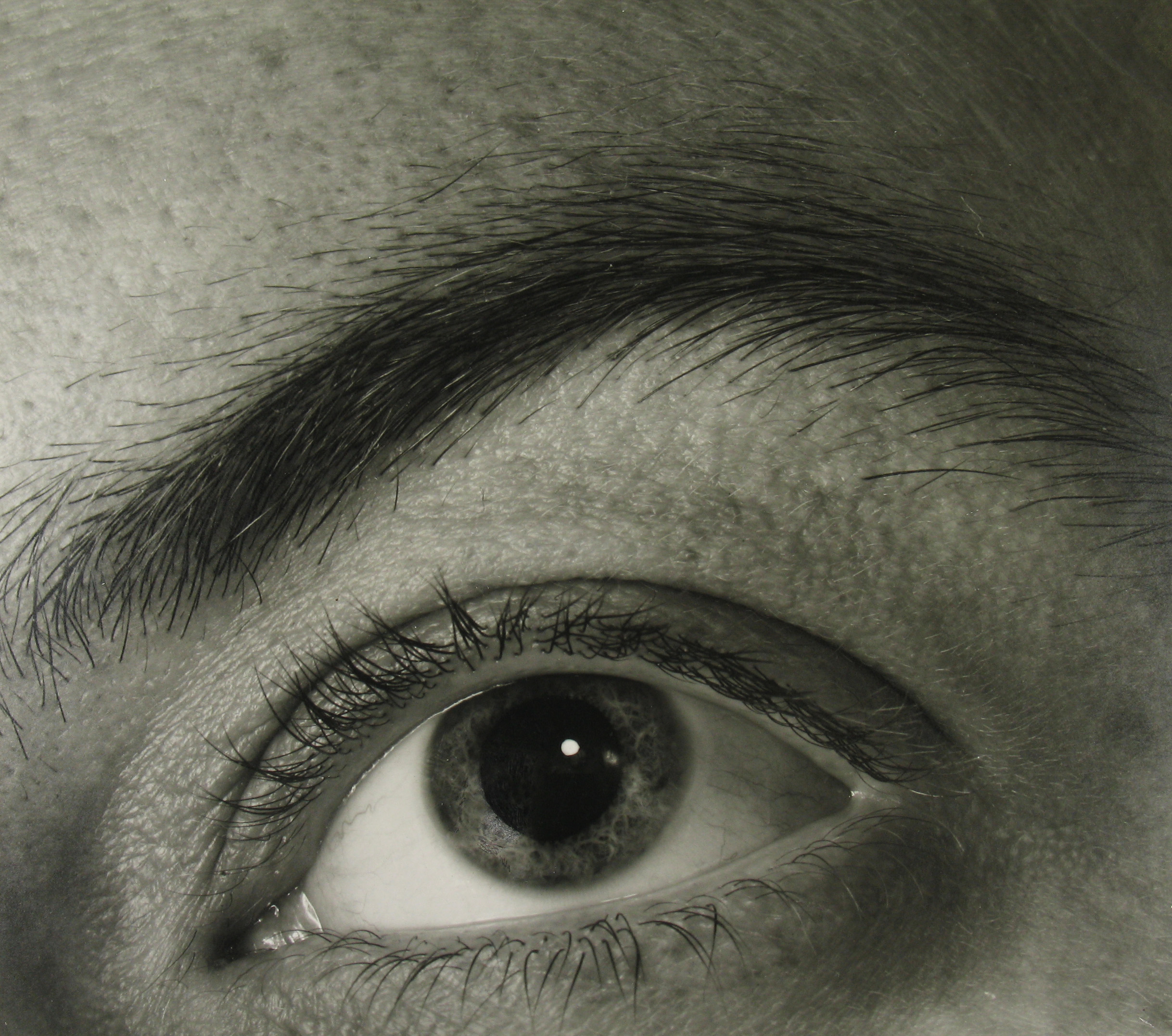 Berenice Abbott: All About Abbott 2006 howard greenberg gallery