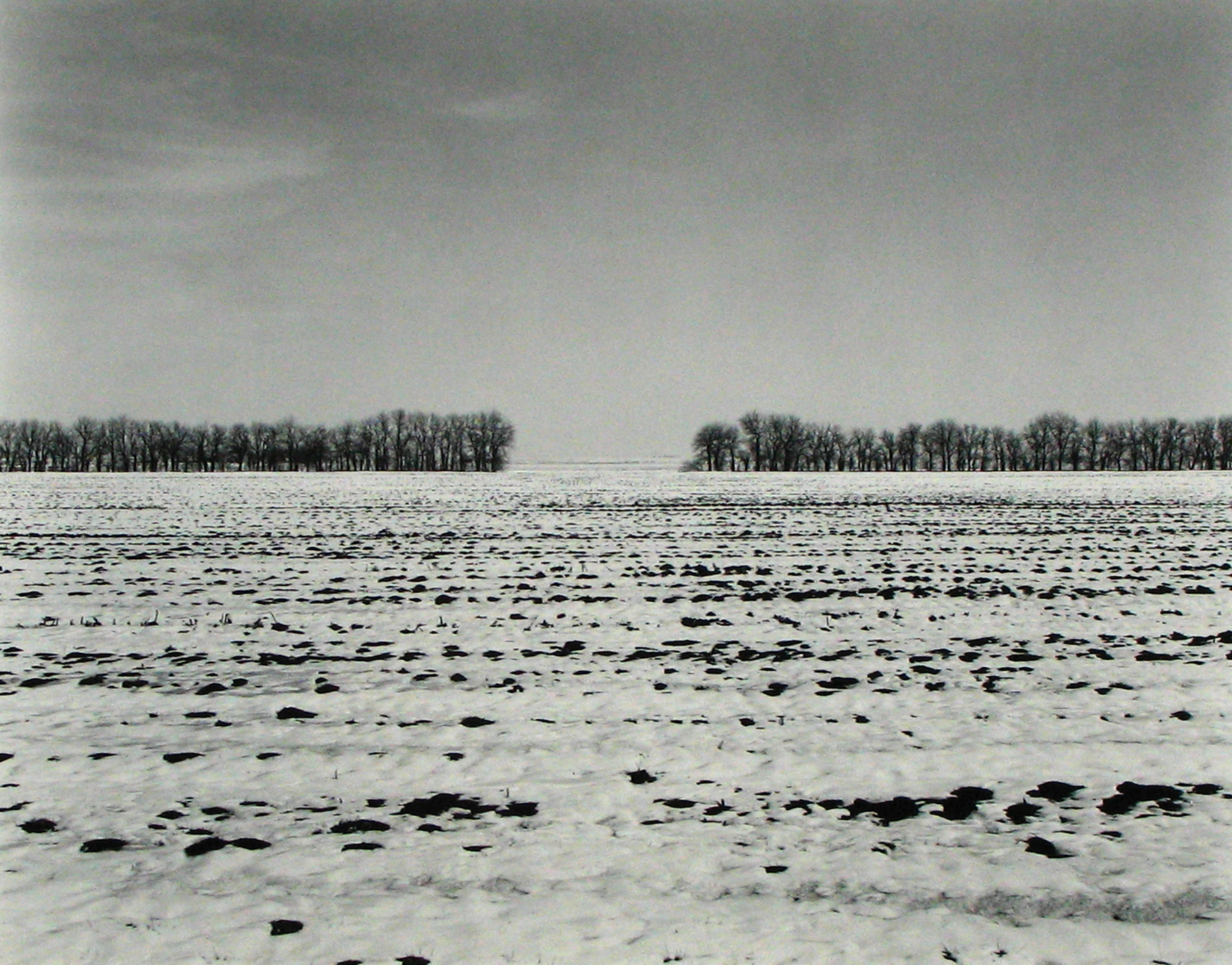 Staff Picks 2012 Howard Greenberg Gallery