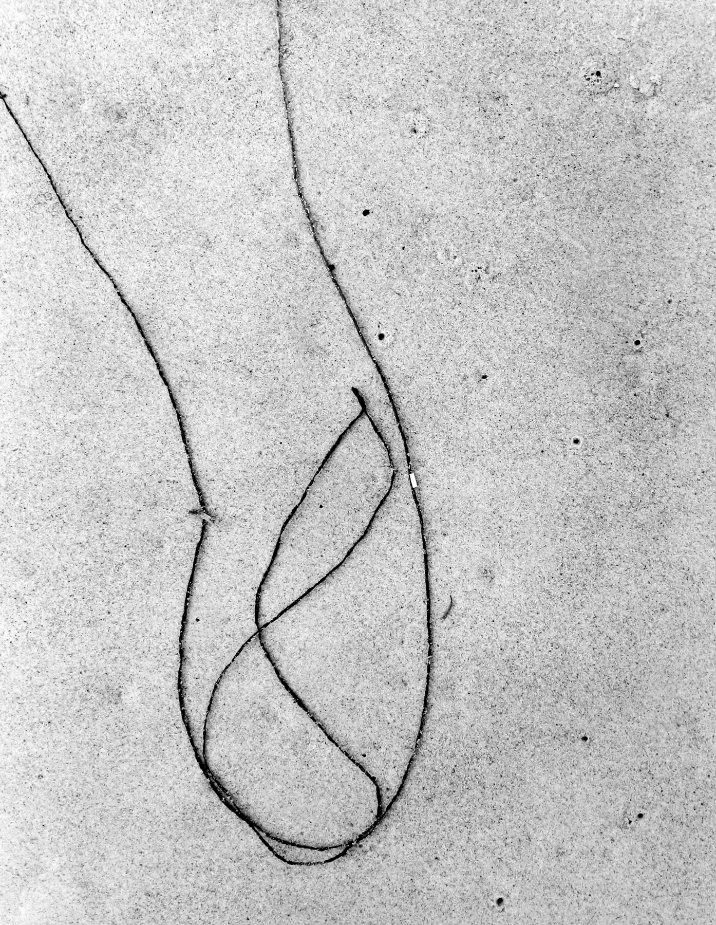 Selections From Private Collections 2011 Howard Greenberg Gallery