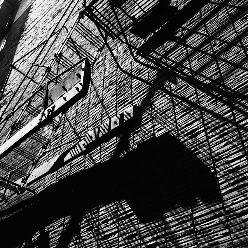 Vivian Maier: Photographs from the Maloof Collection 2011 howard greenberg gallery